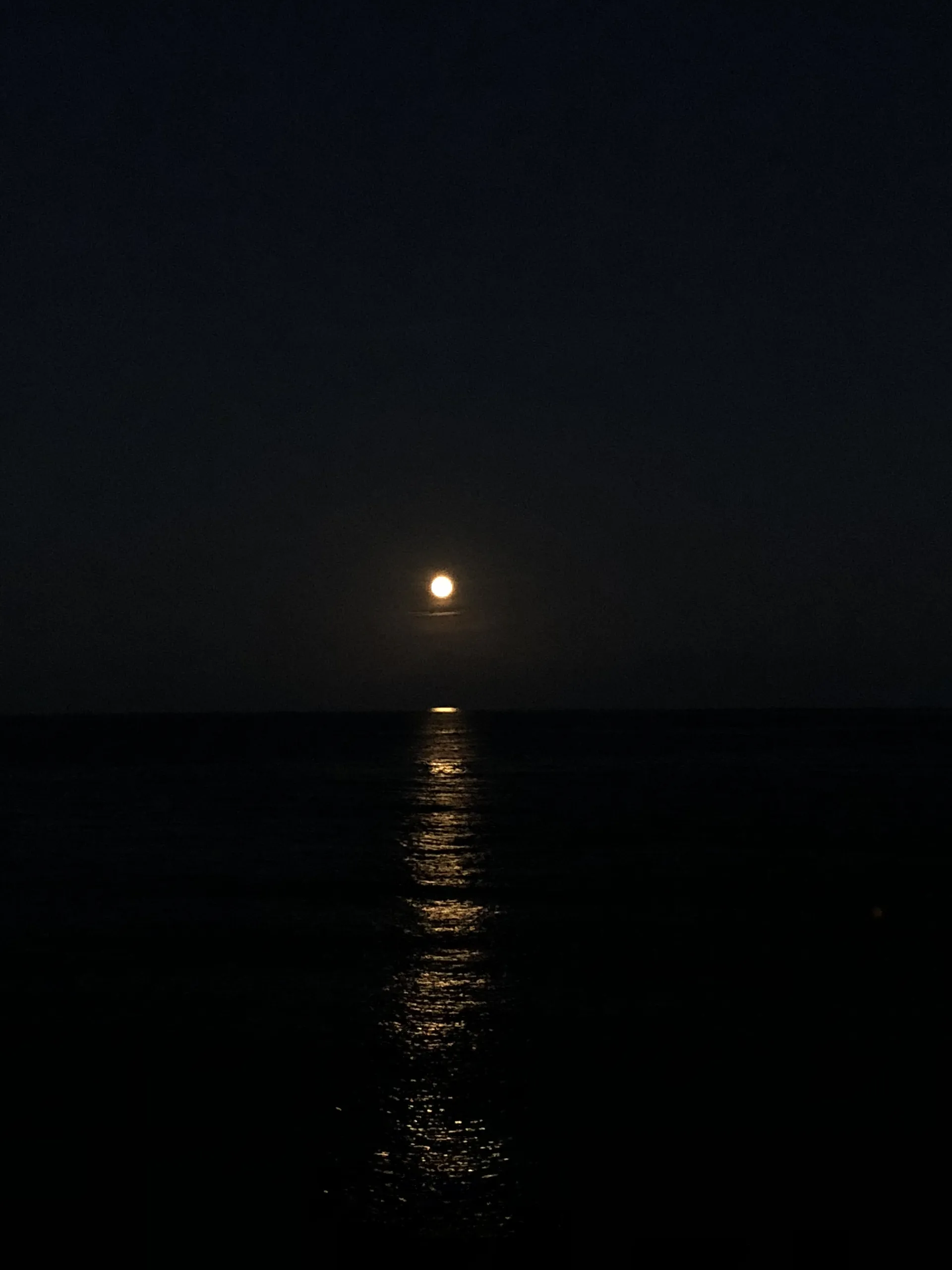 Exhibitionist Guy OnlyFans header