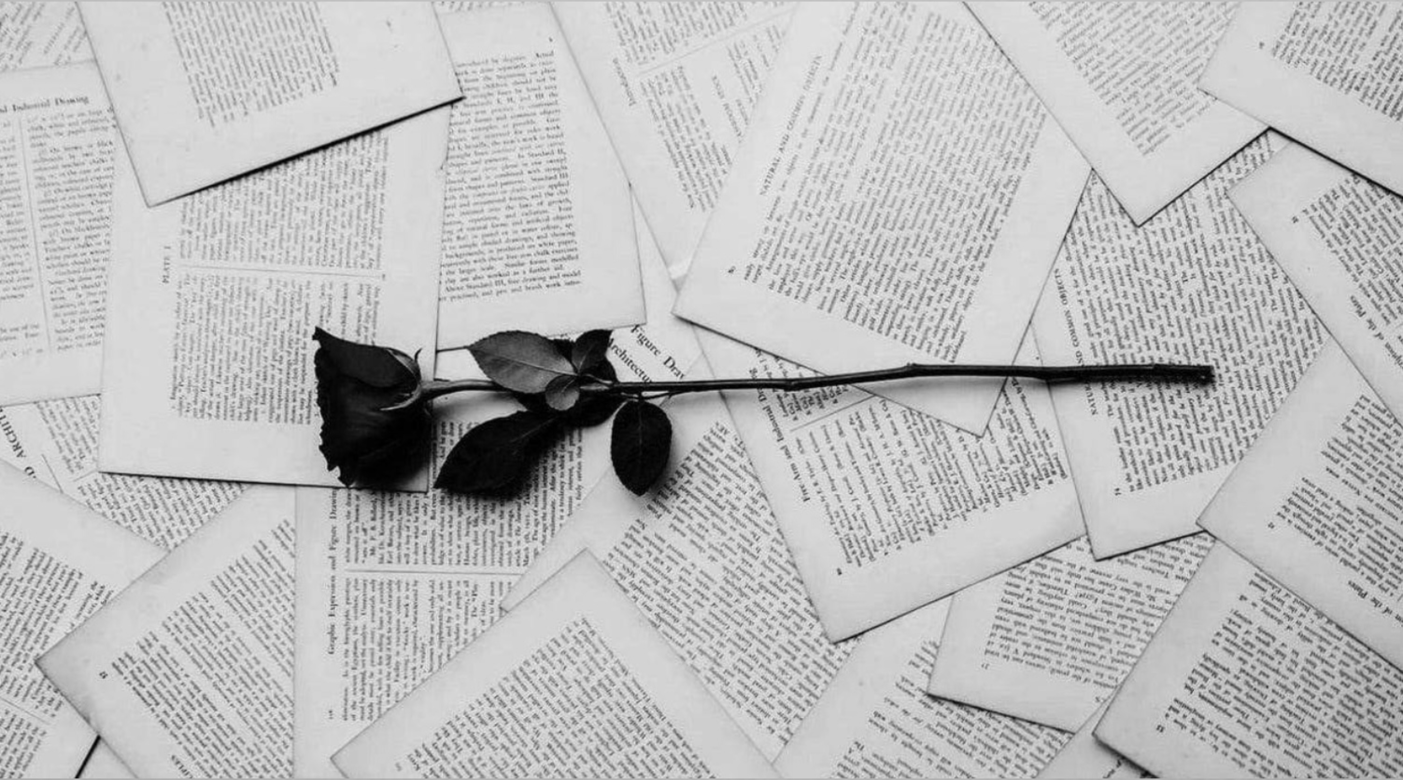 Head Mistress O OnlyFans header