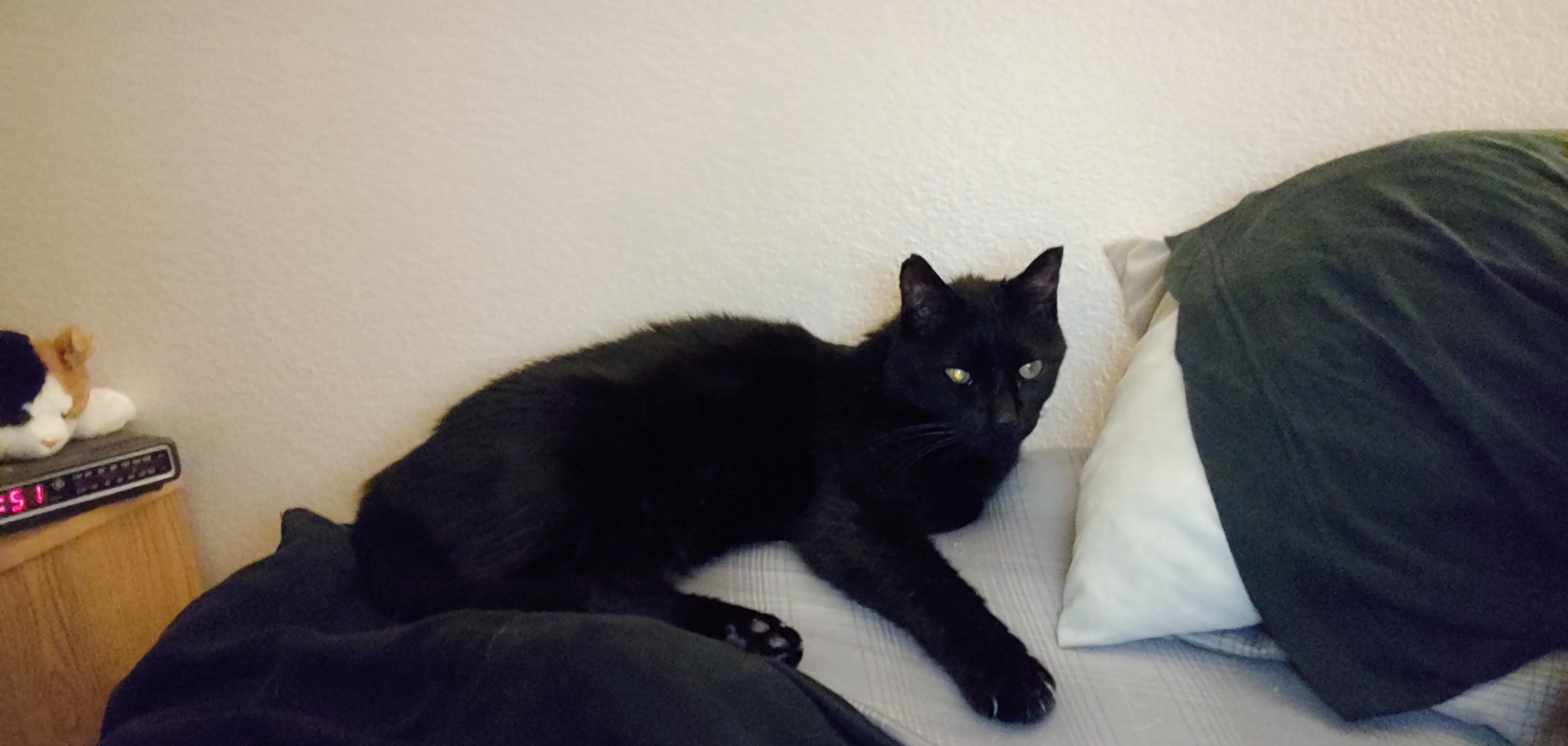 Outsdr OnlyFans header