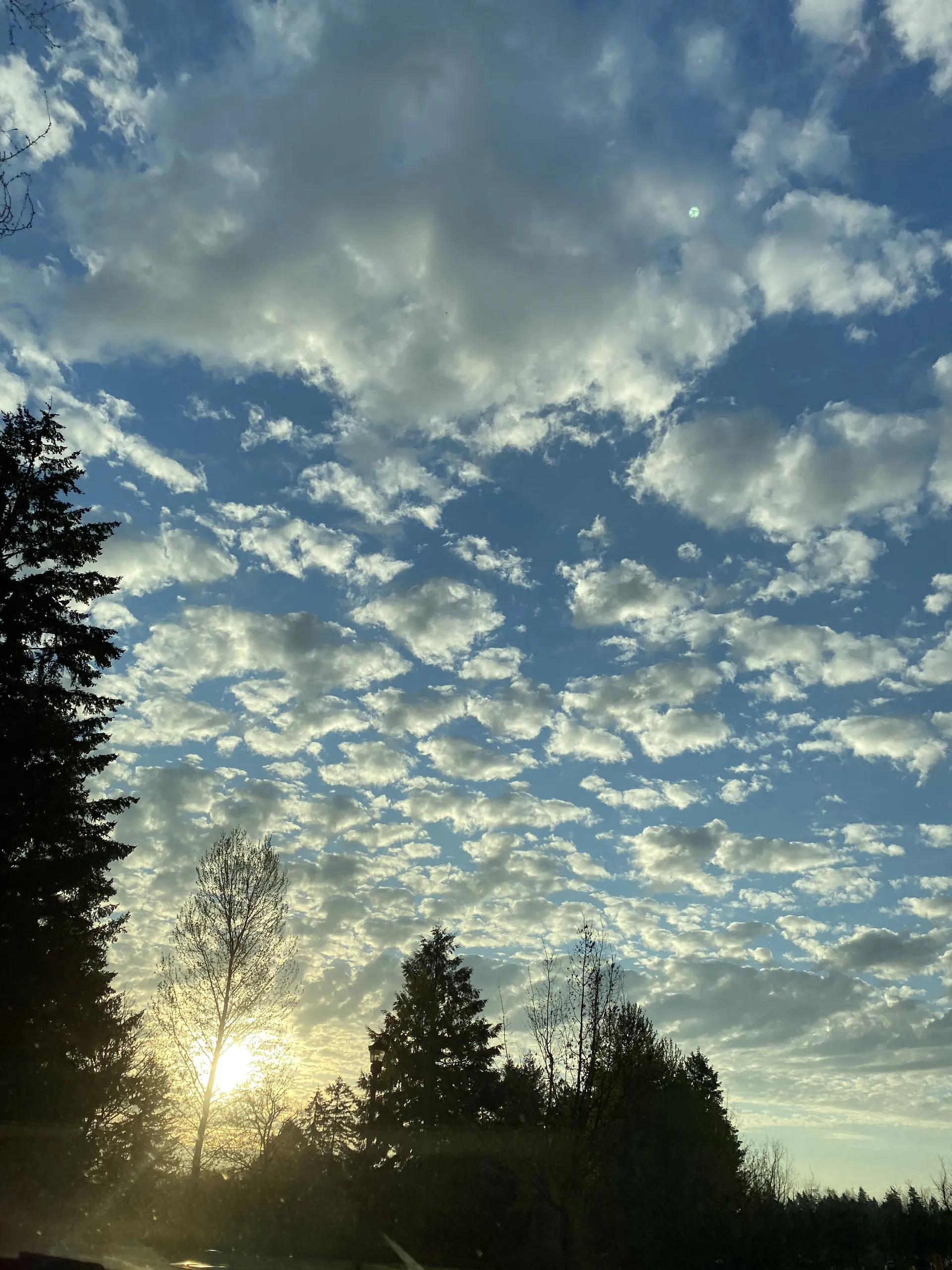 hillary OnlyFans header