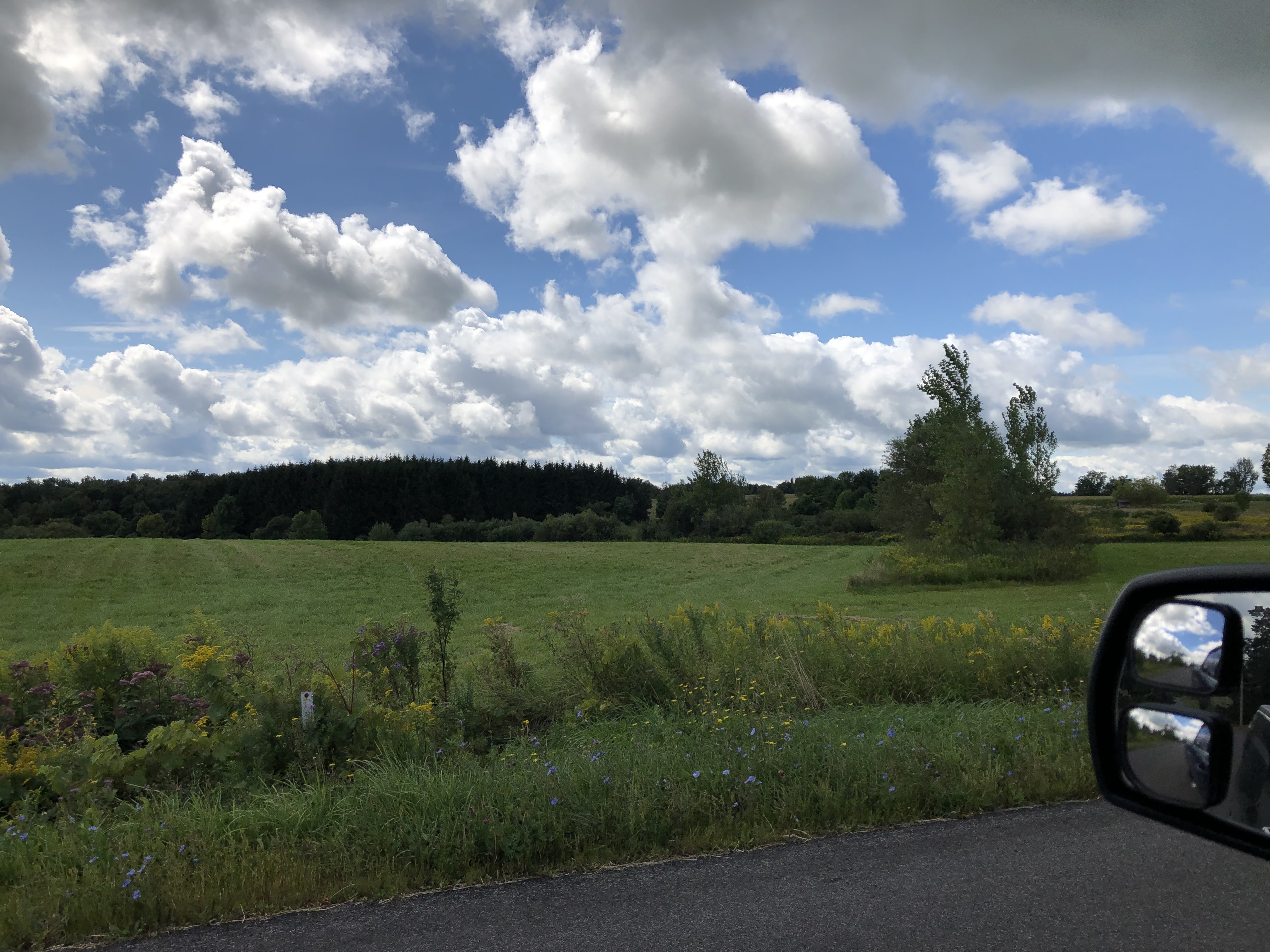 over1ce OnlyFans header