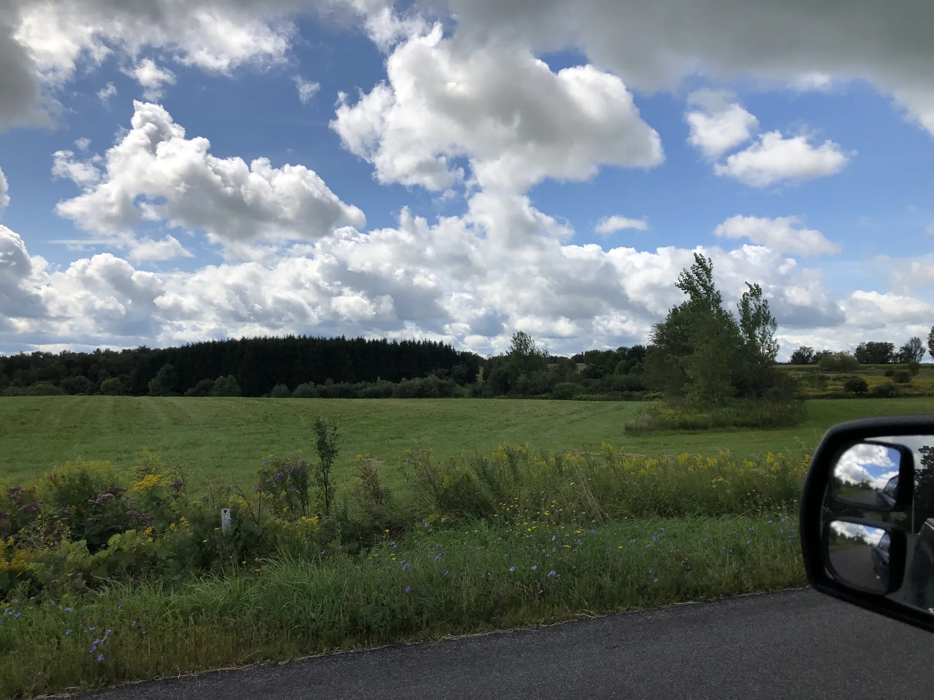 over1ce OnlyFans header