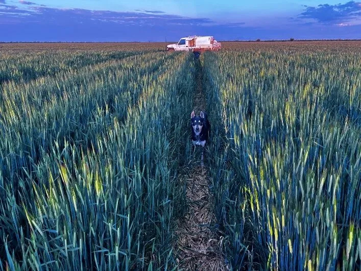 CountryBlokeBWC OnlyFans header