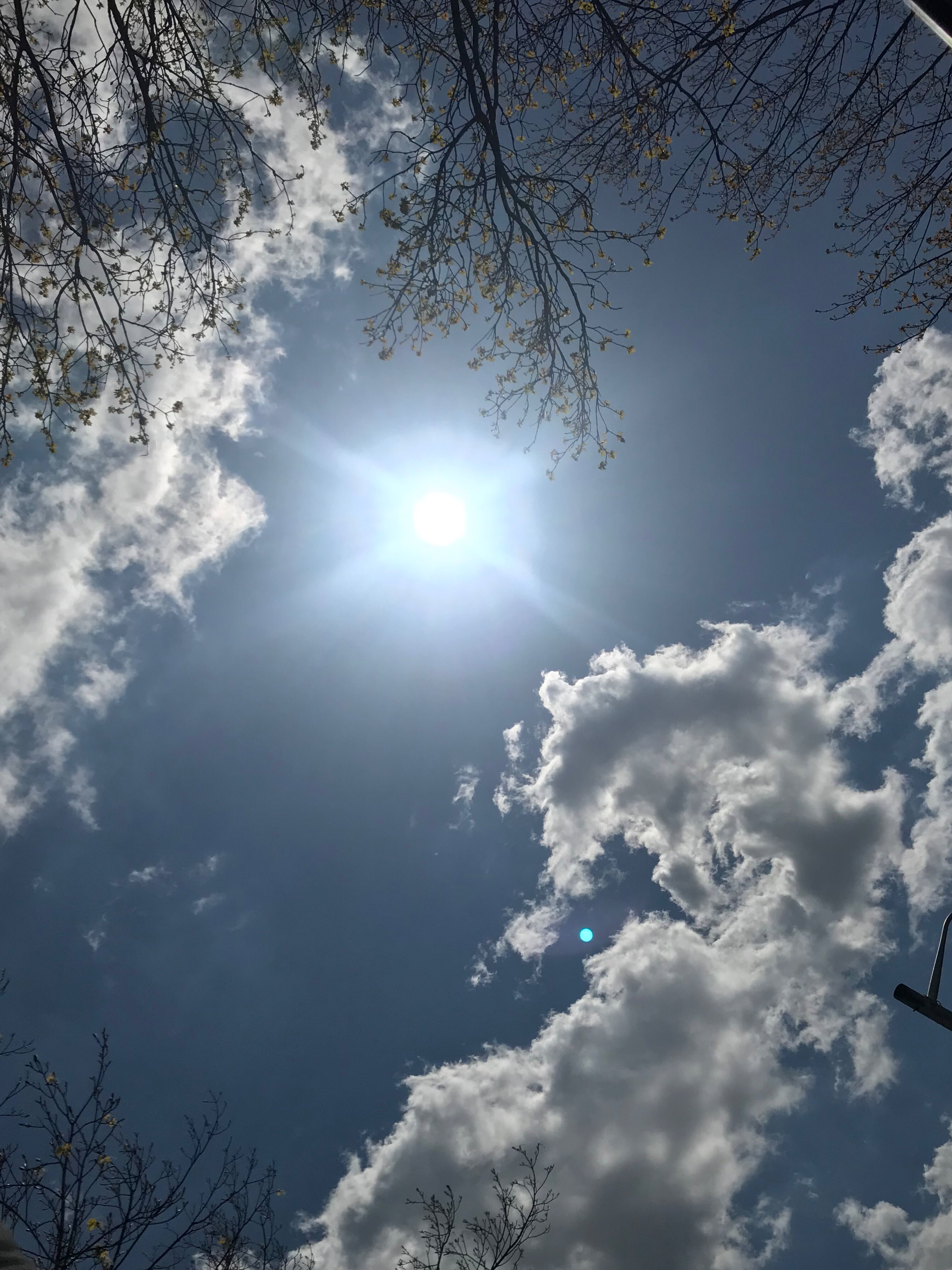 DaddyGoneDoIt OnlyFans header