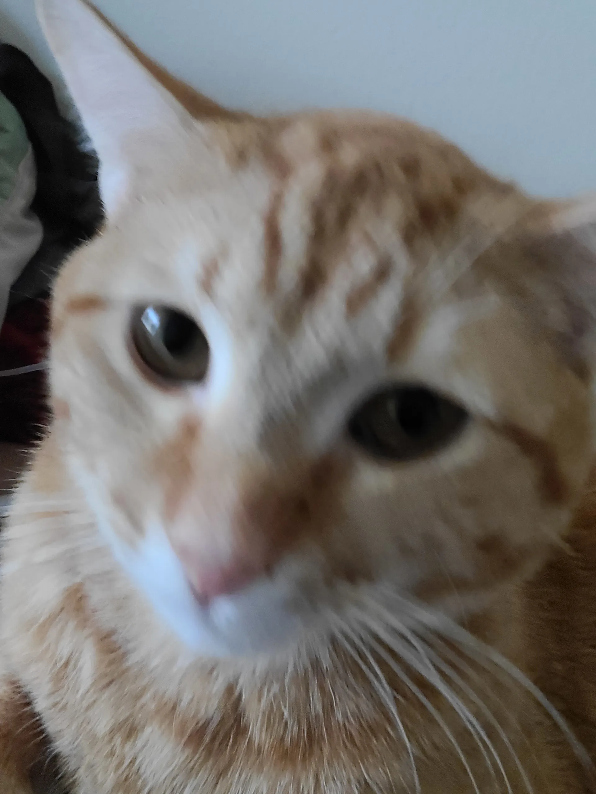 OVO618 OnlyFans header