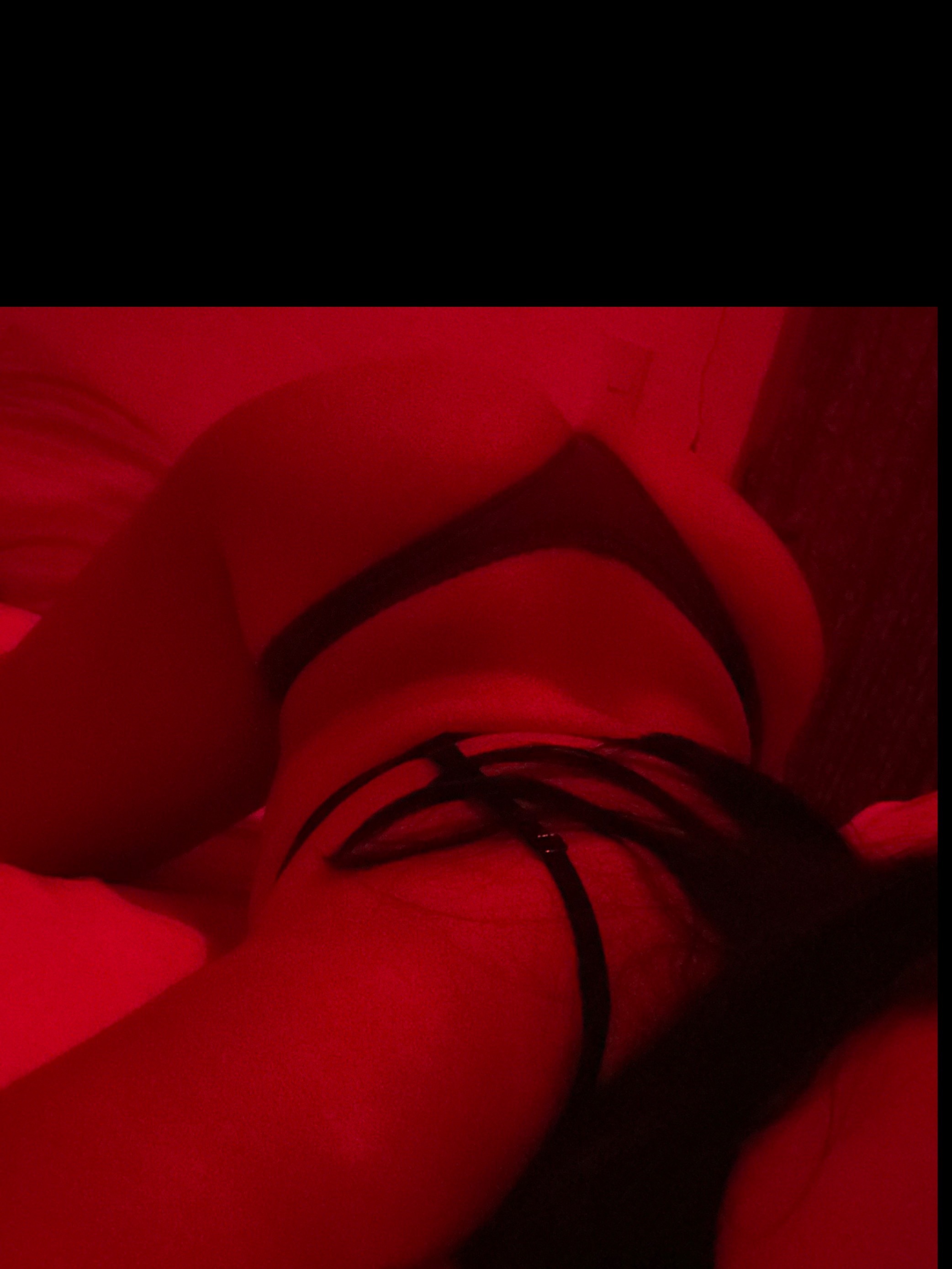 Regina OnlyFans header