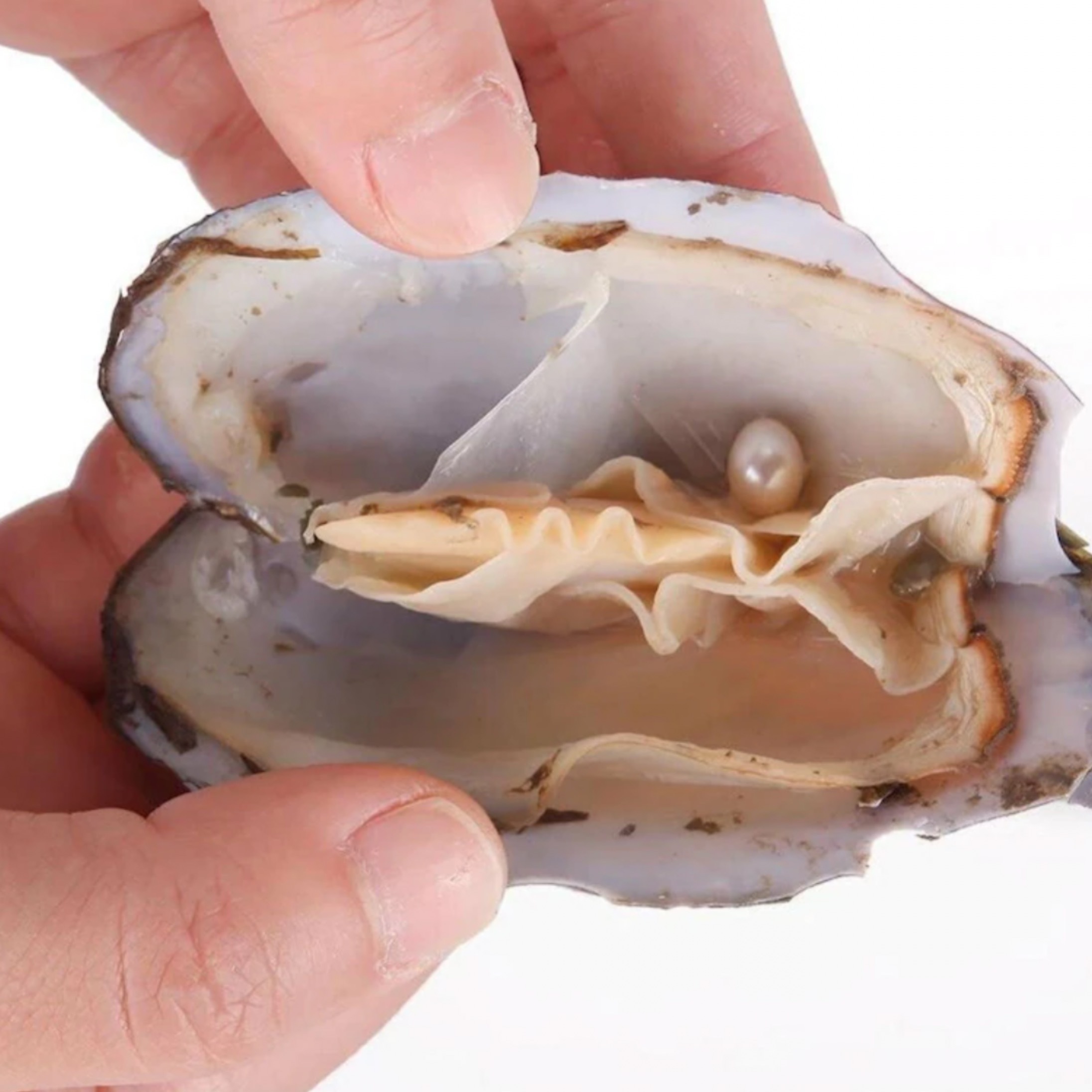 angel OnlyFans header