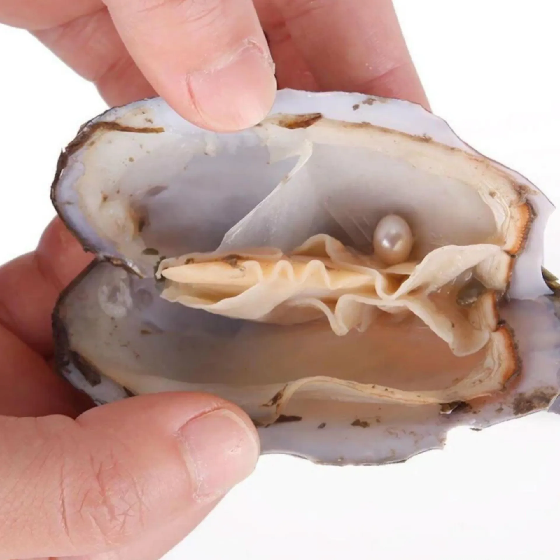 angel OnlyFans header