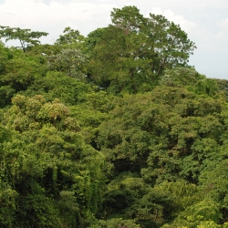 Owen Scarlett OnlyFans