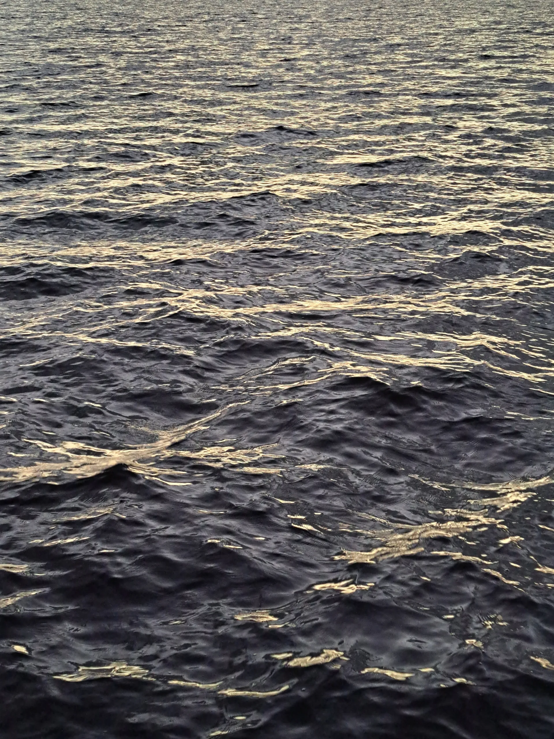 Owen Woods OnlyFans header