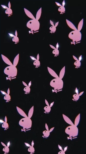 Kitten and Sir OnlyFans header