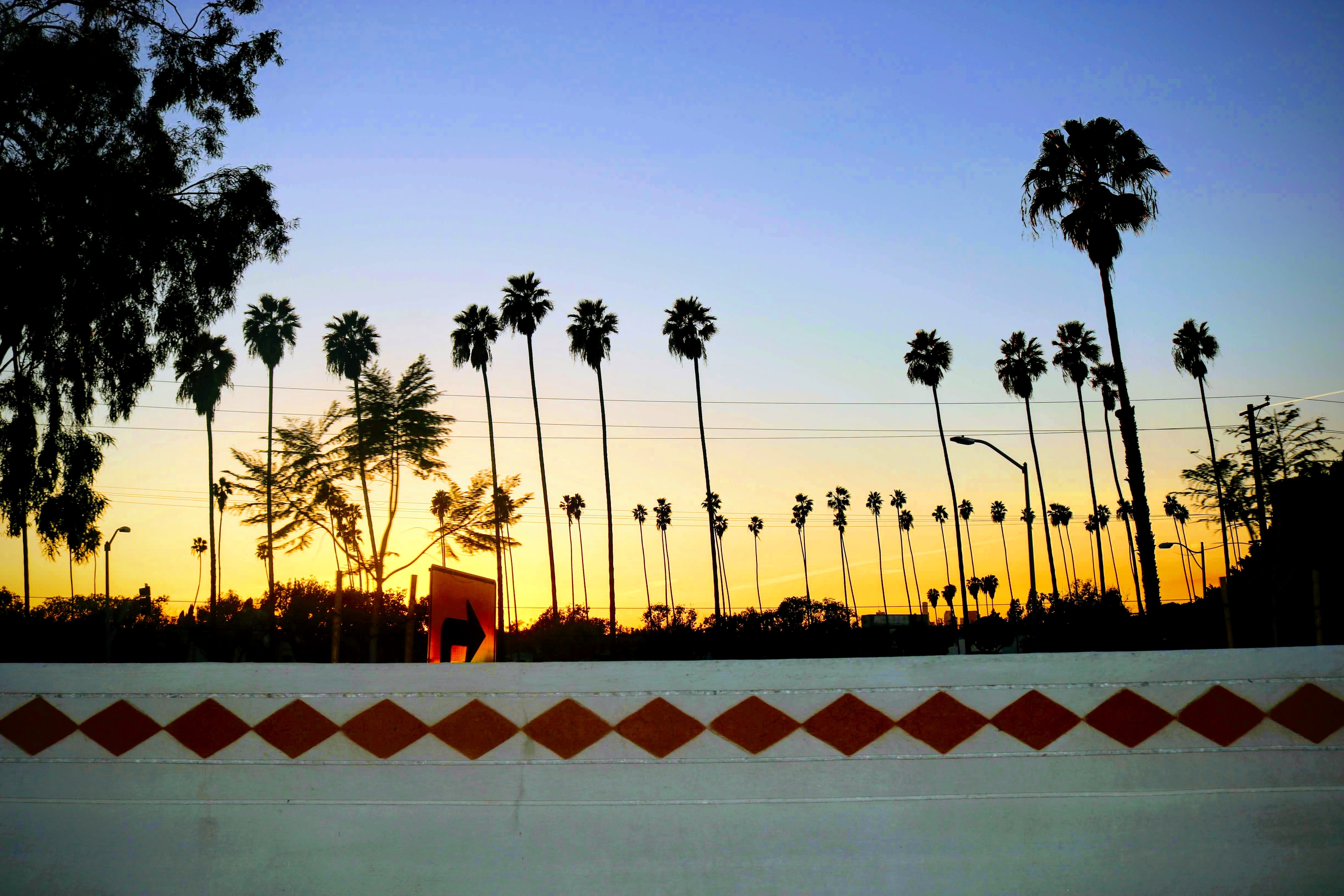 Lord OnlyFans header