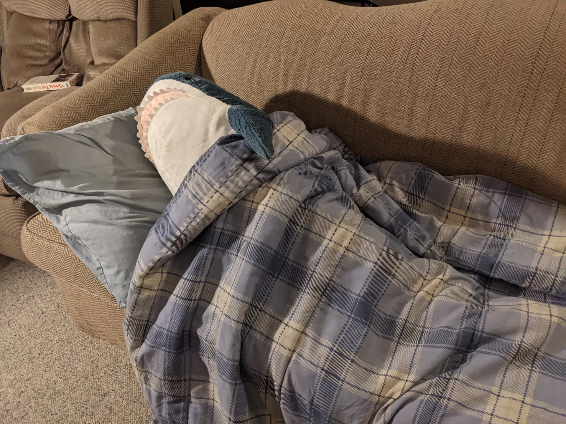 womu OnlyFans header