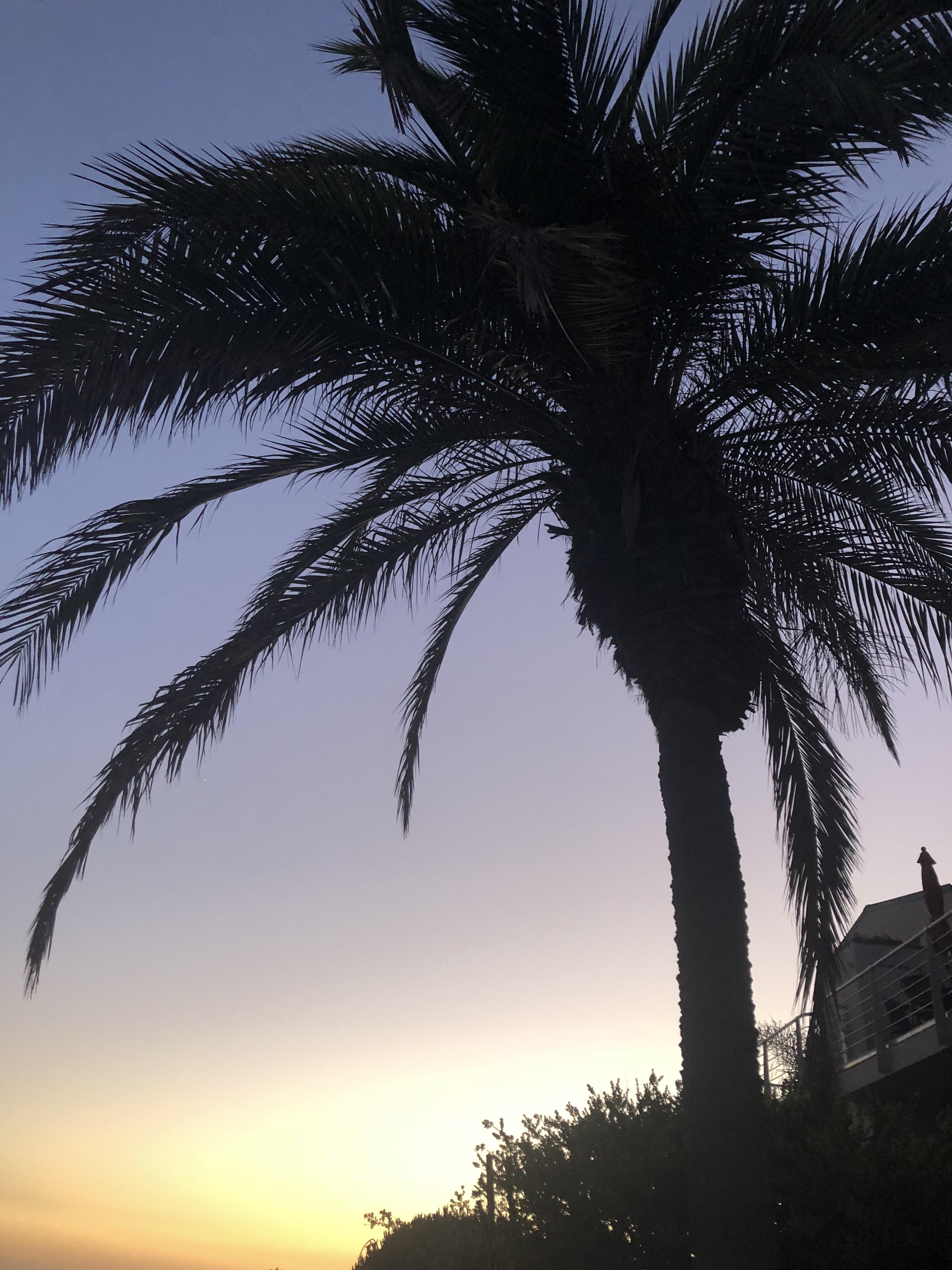 Calcifer OnlyFans header