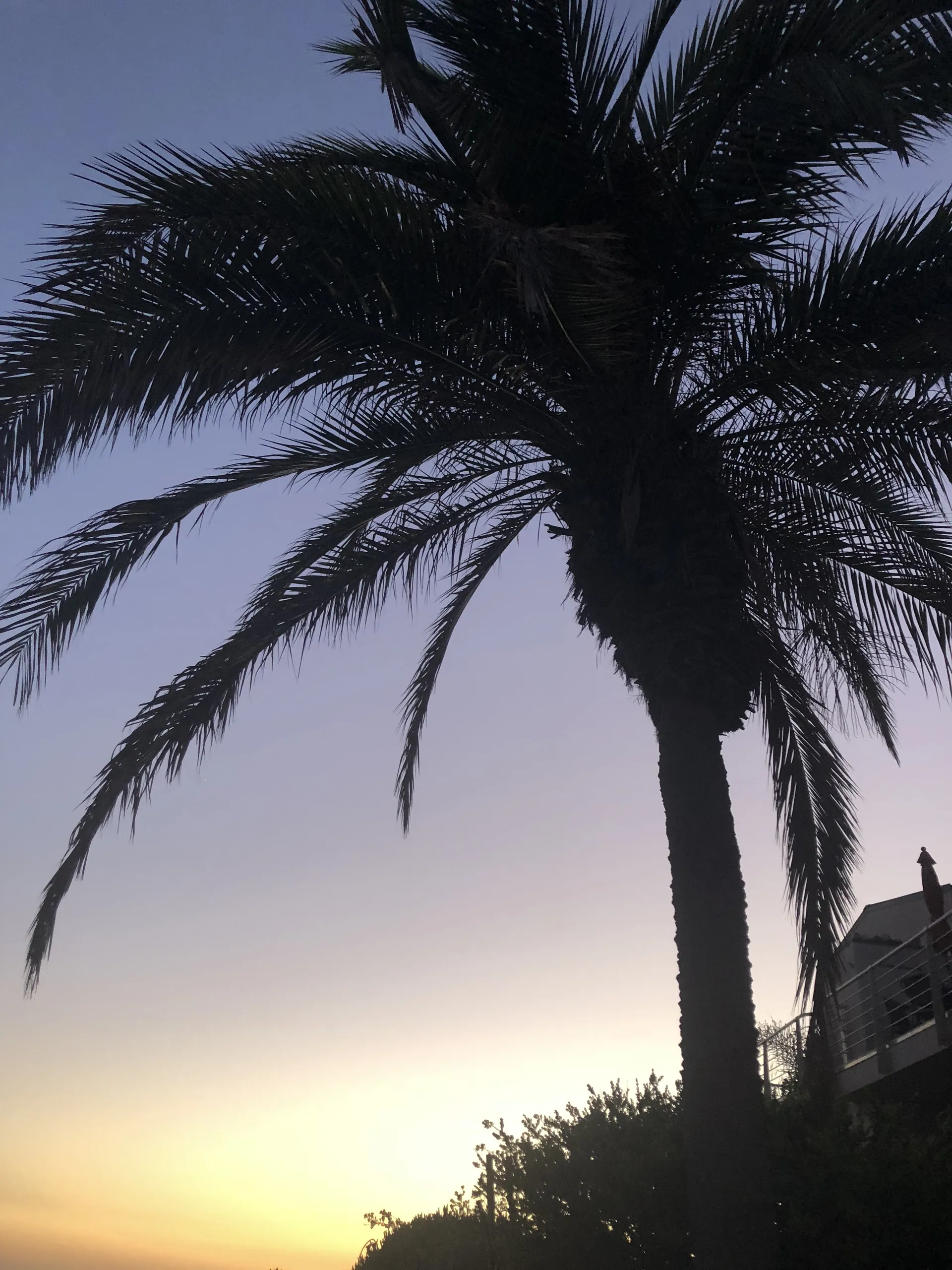 Calcifer OnlyFans header