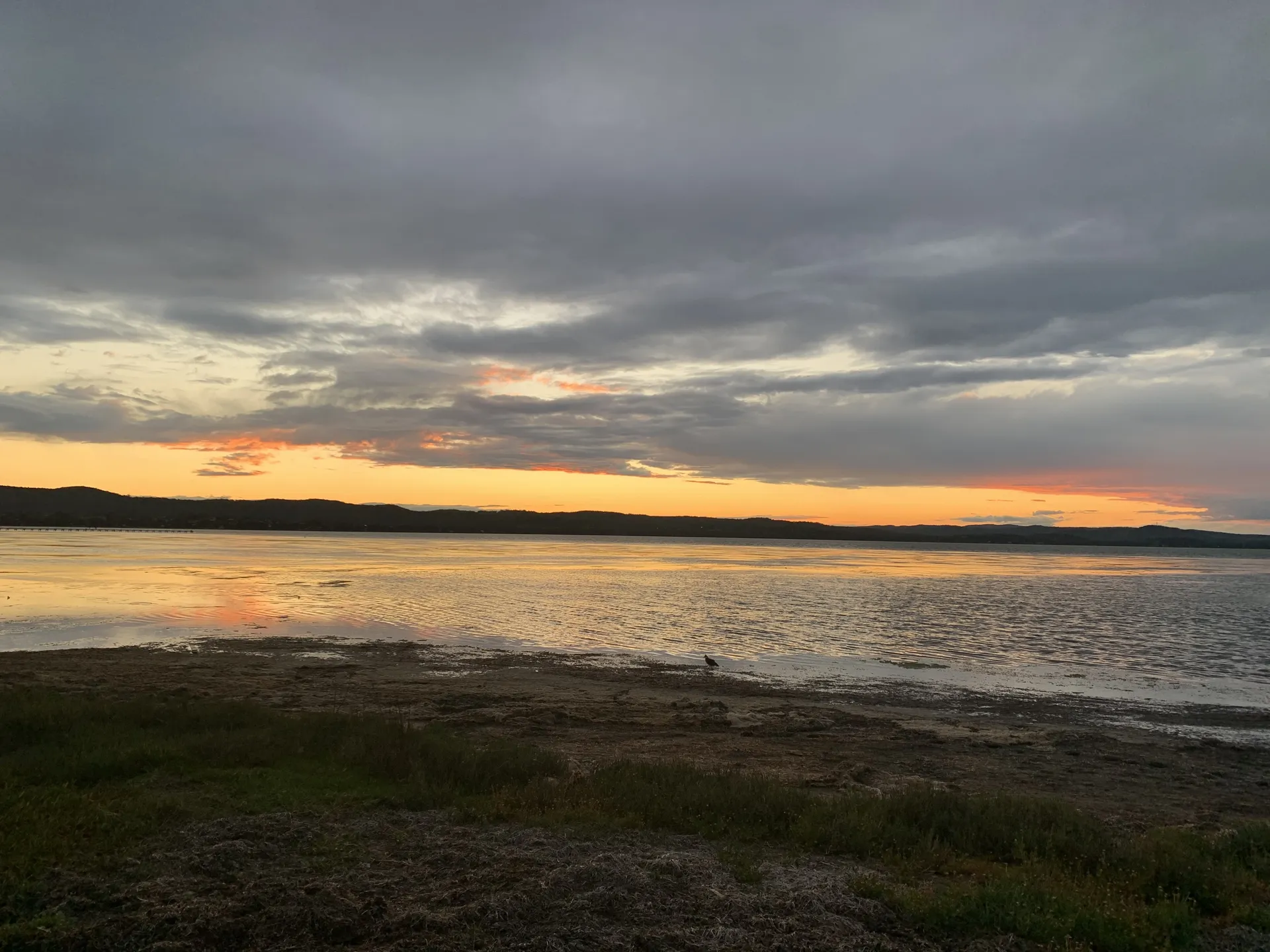 ♡Lucy♡︎ OnlyFans header