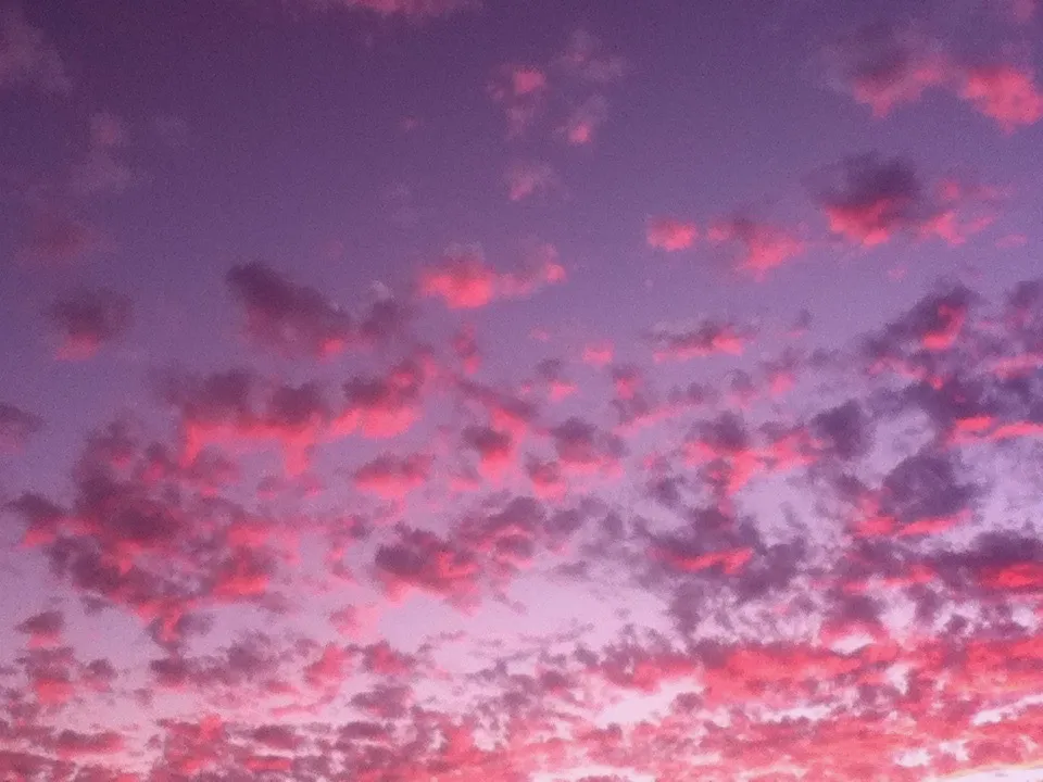 🦄💕 OnlyFans header