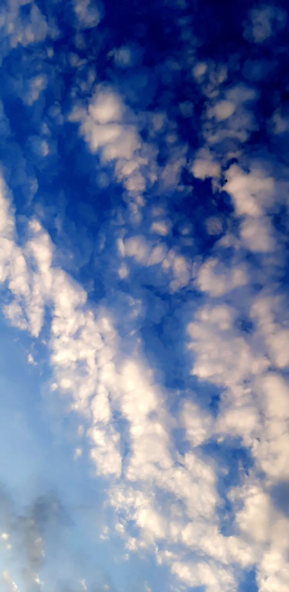 Oyboe88 OnlyFans header