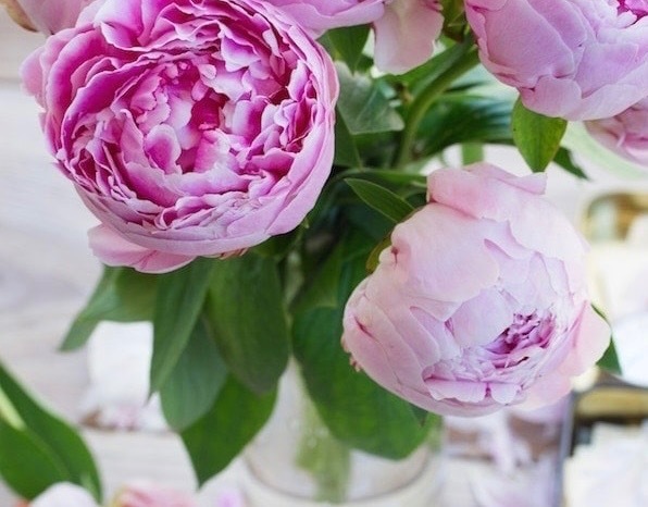 YumiYumi OnlyFans header