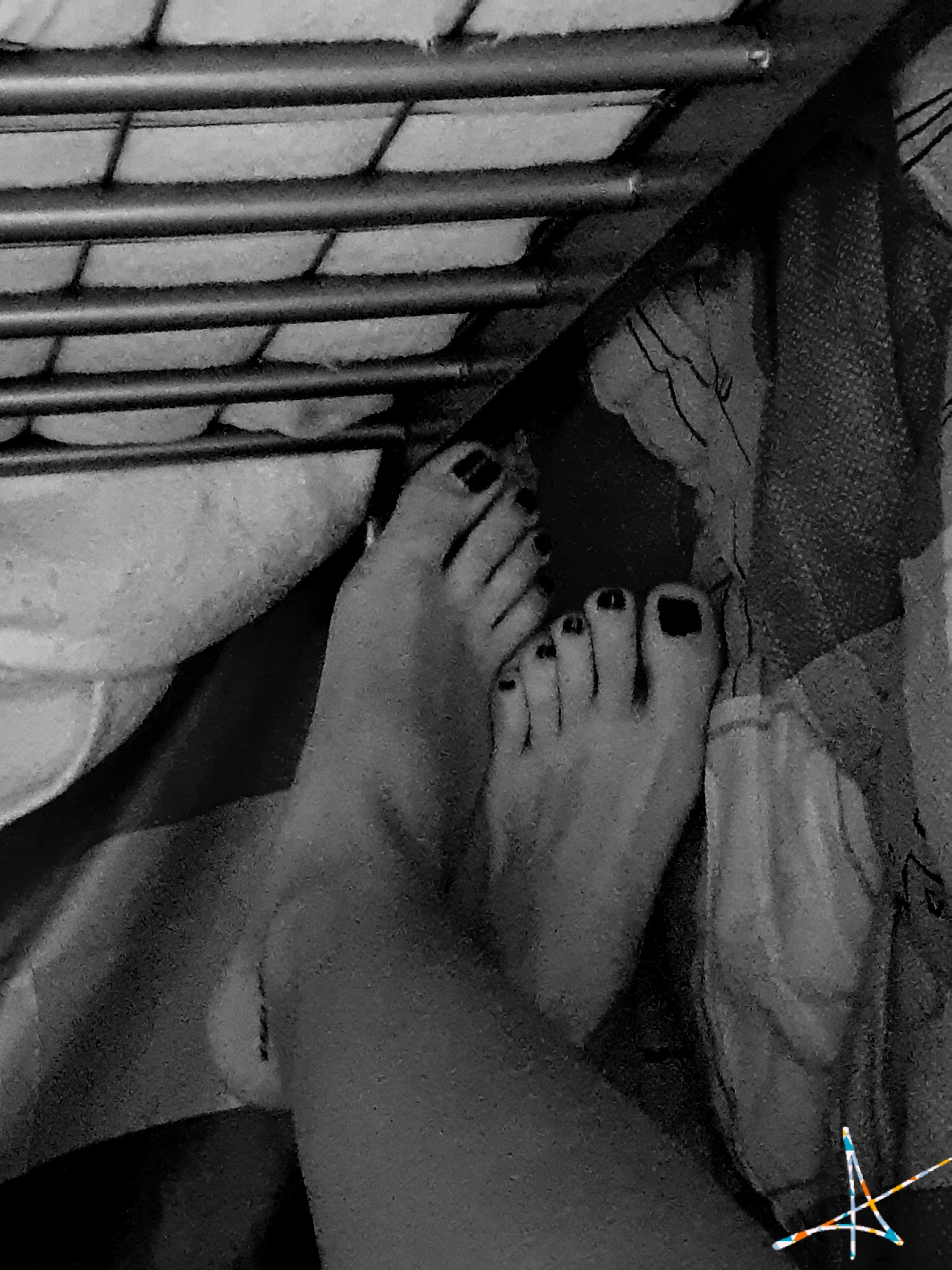 Ozeppy OnlyFans header