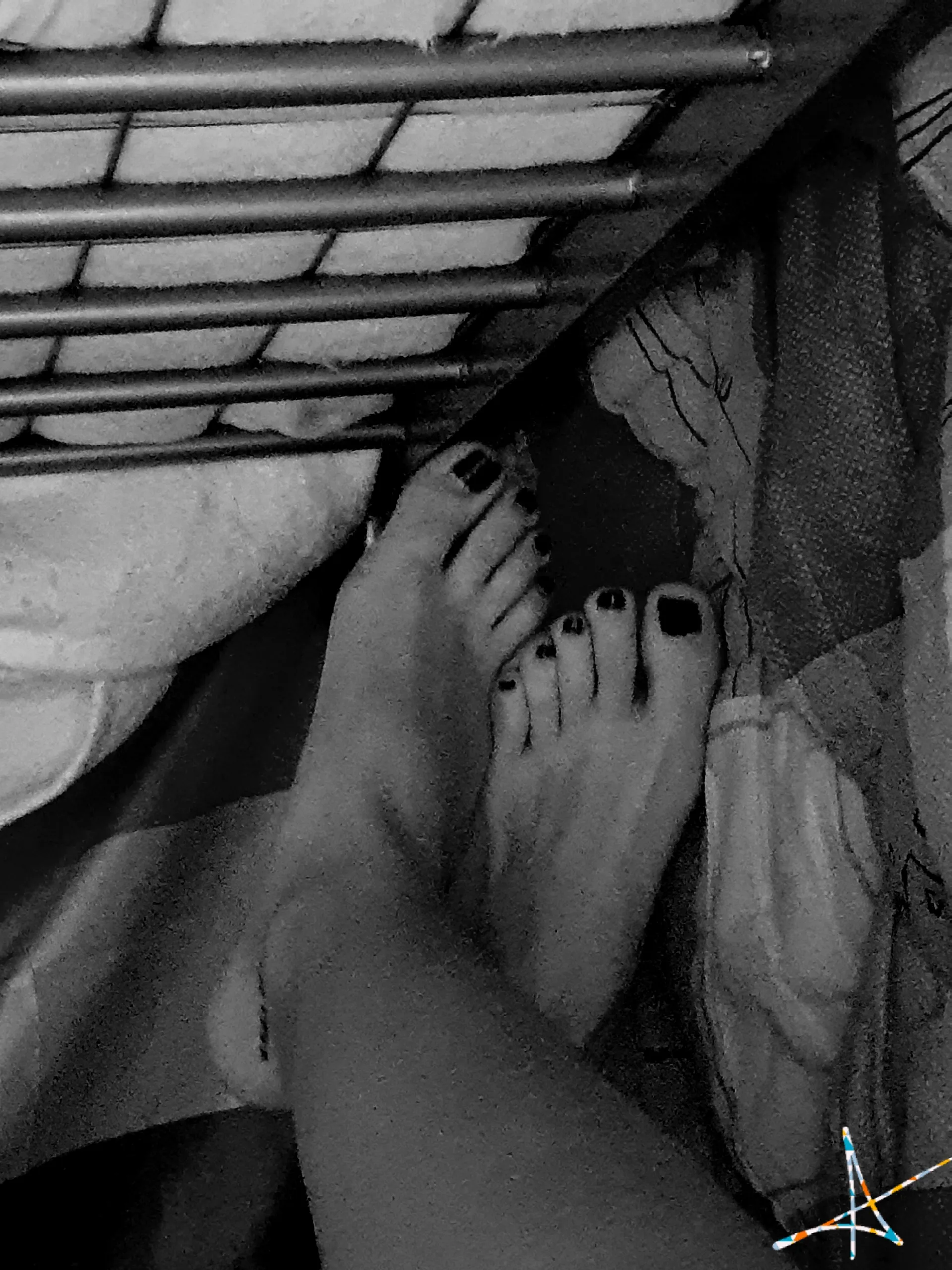 Ozeppy OnlyFans header