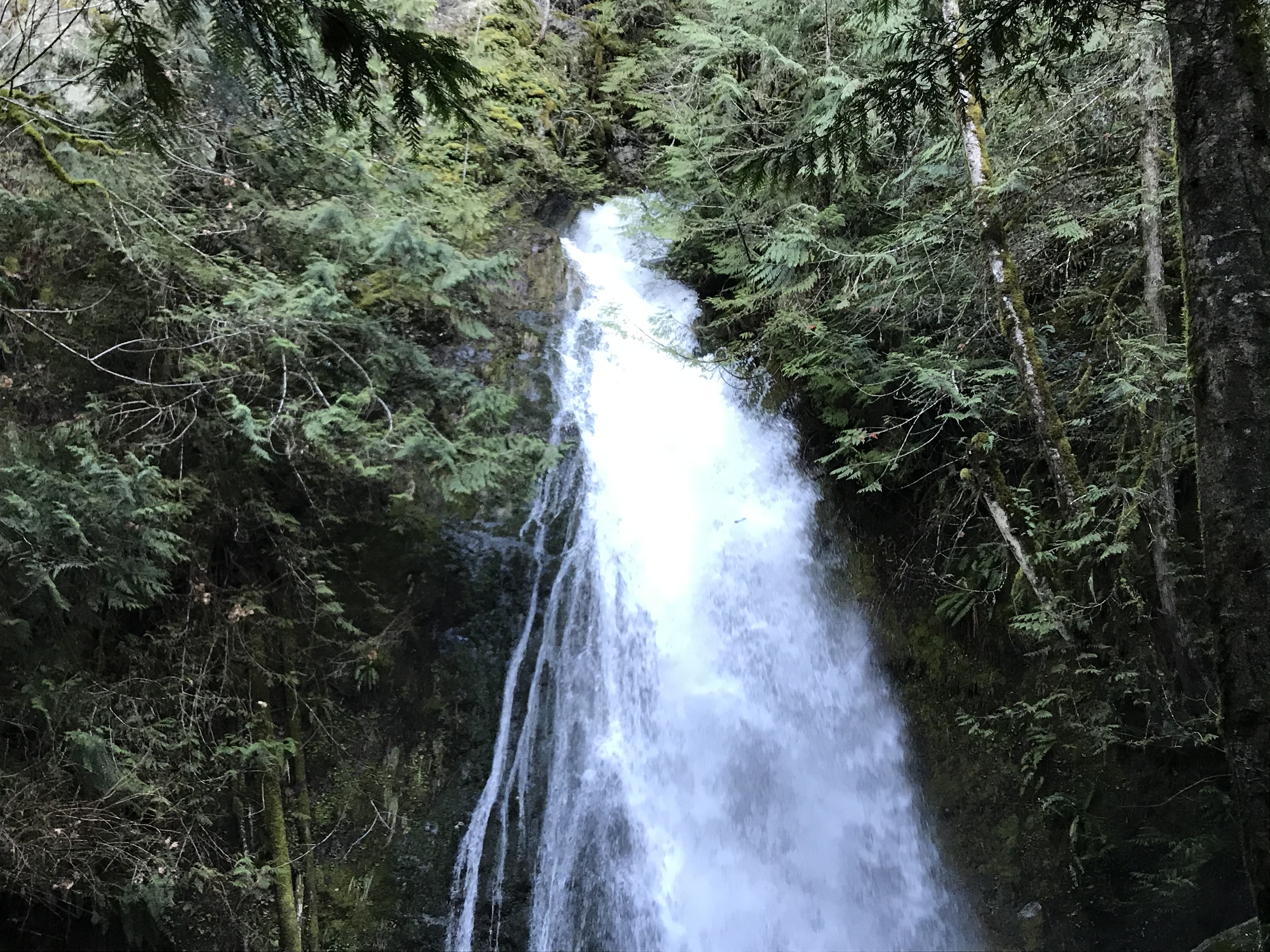 Ozone murphy OnlyFans