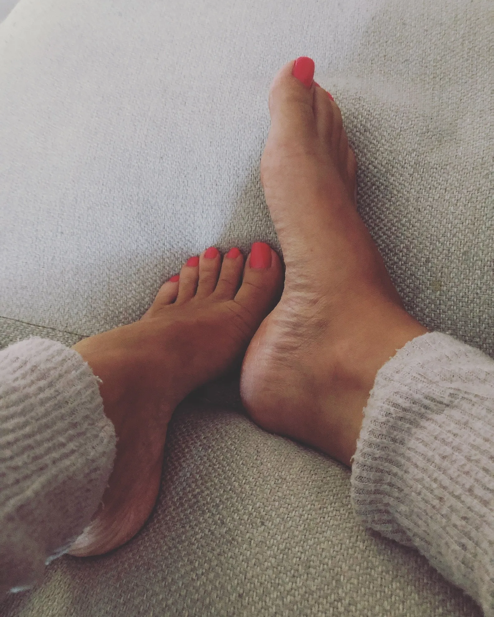 Paisleypaws OnlyFans header