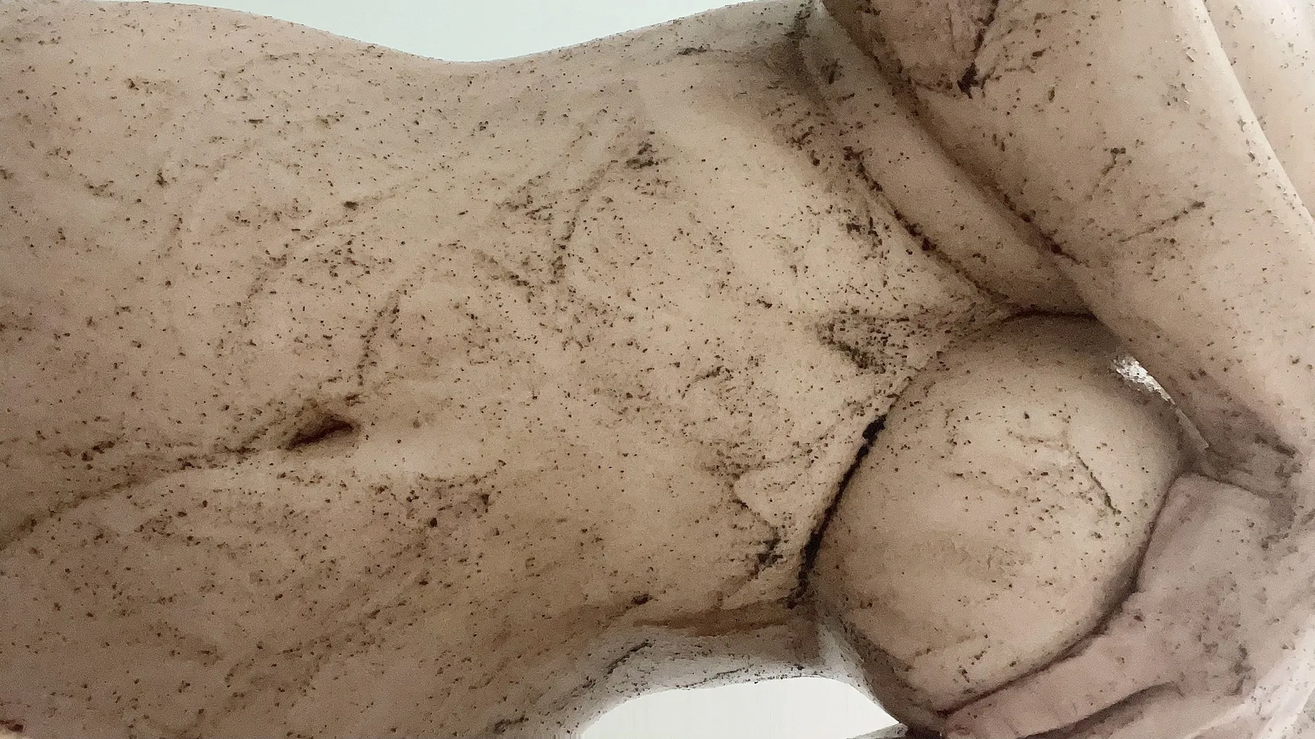 Patty 🐒 OnlyFans header