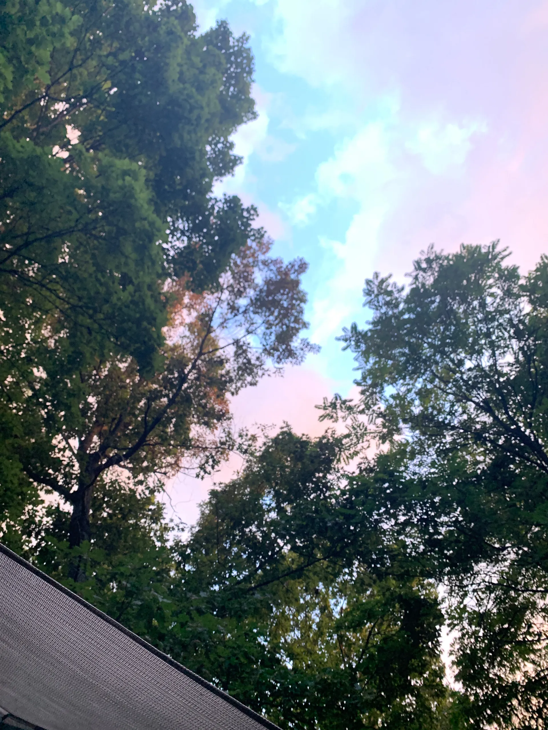 PeachyK OnlyFans header