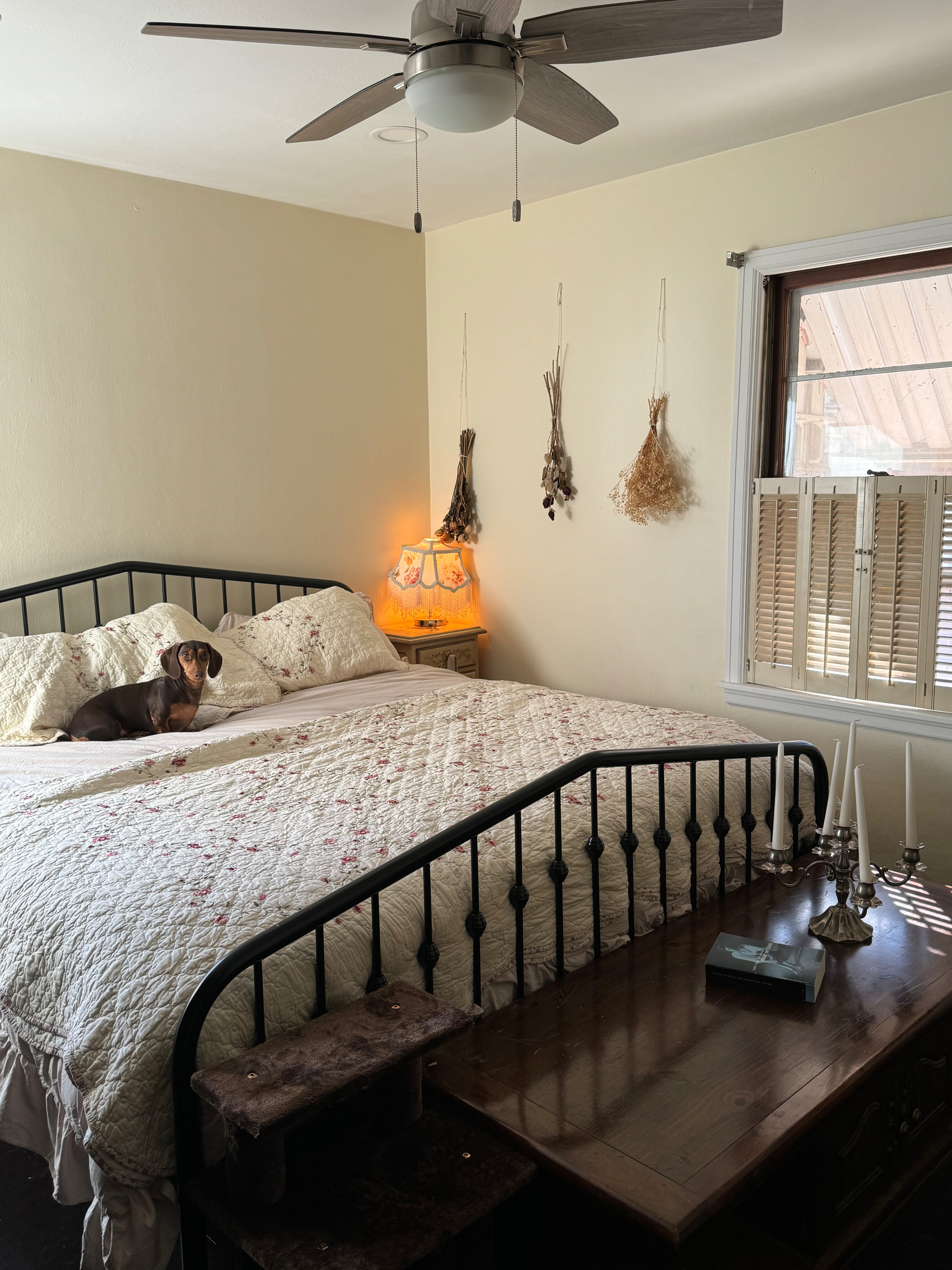 Lea 🌻 OnlyFans header