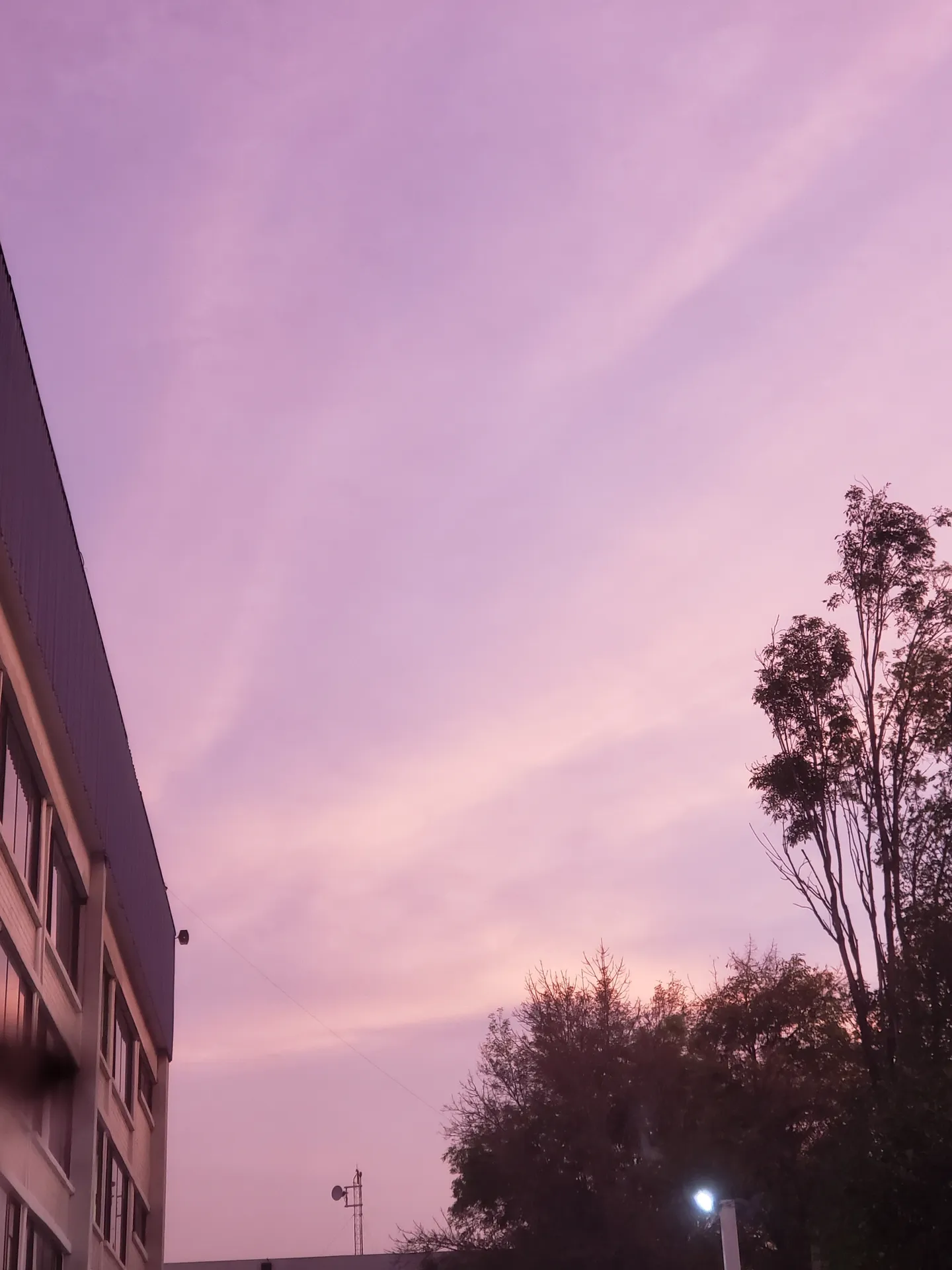 Mochi OnlyFans header