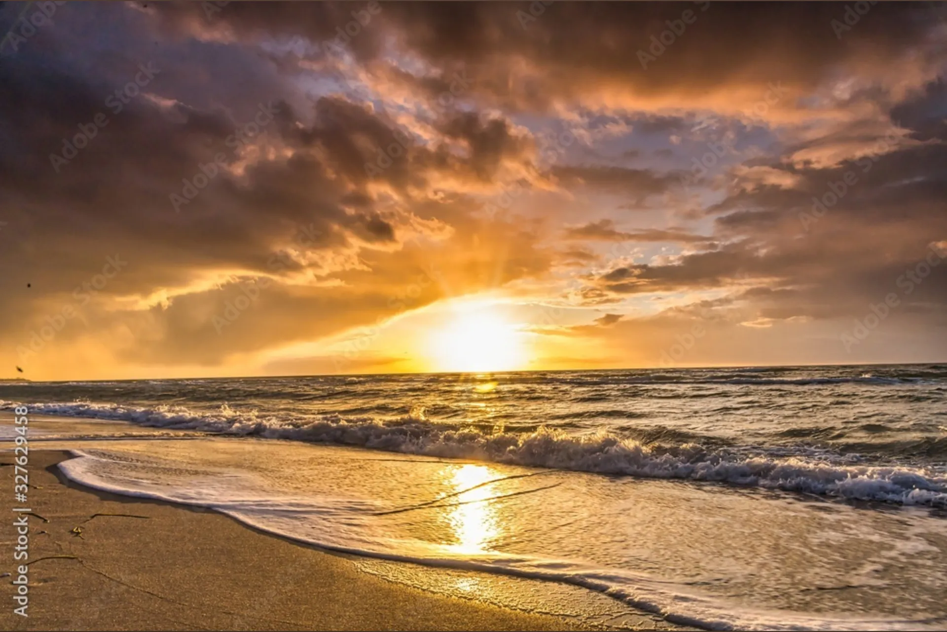 Thiccc Mexican Queen 👸 OnlyFans header