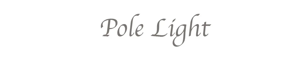 Pole Light OnlyFans header