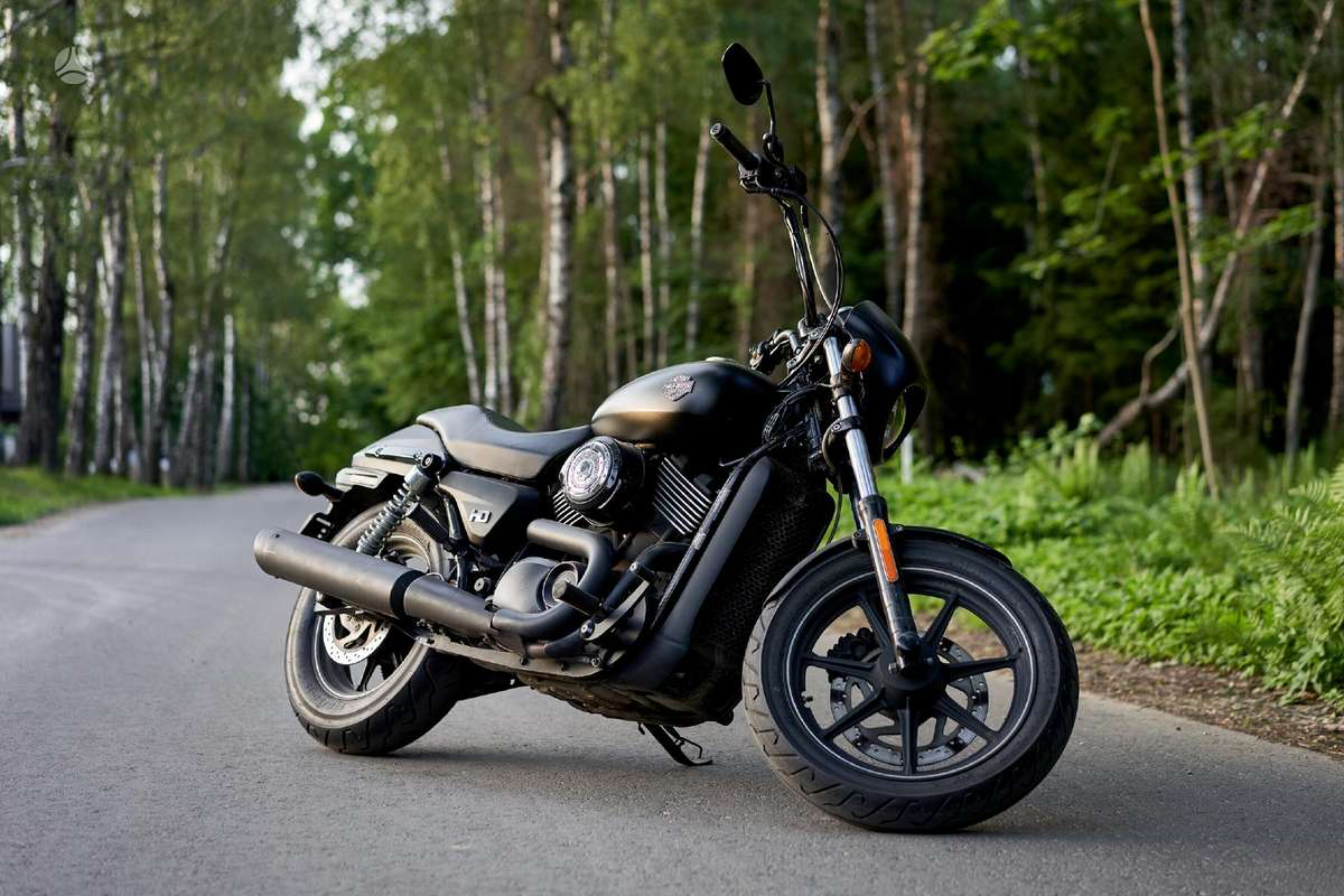 Jericho Sting PPV OnlyFans header