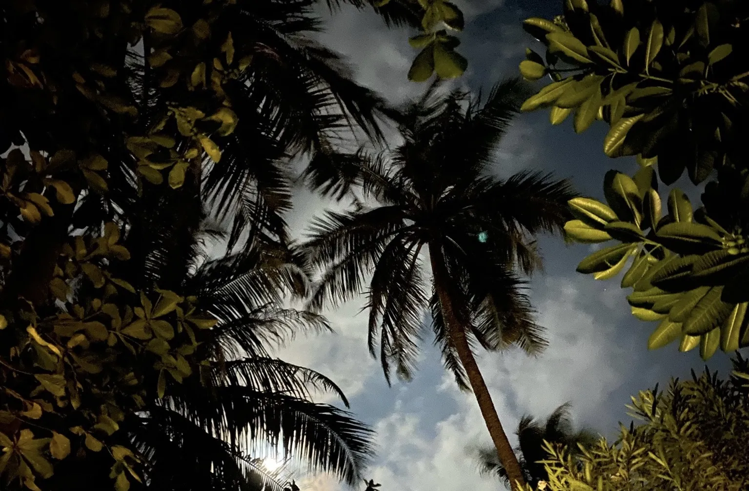 Misha Pretty Little Feet OnlyFans header