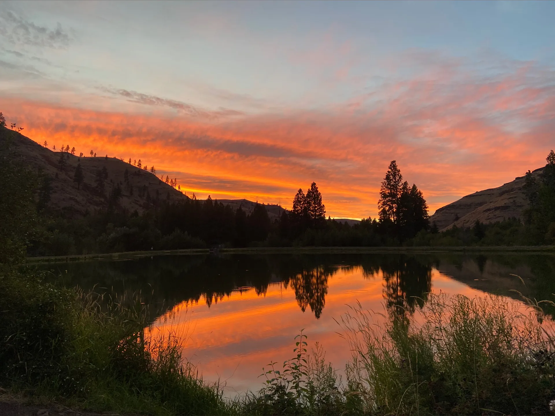 Pretty Peaches 🍑😈 OnlyFans header