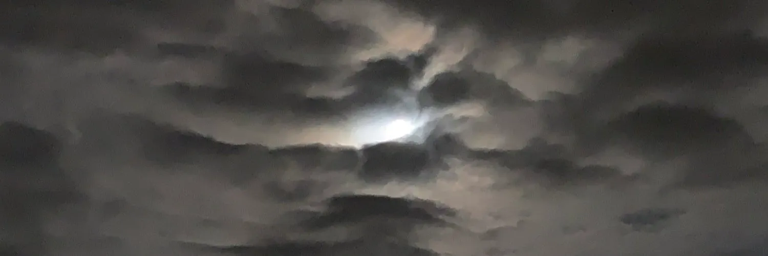 Pristine Edge OnlyFans header