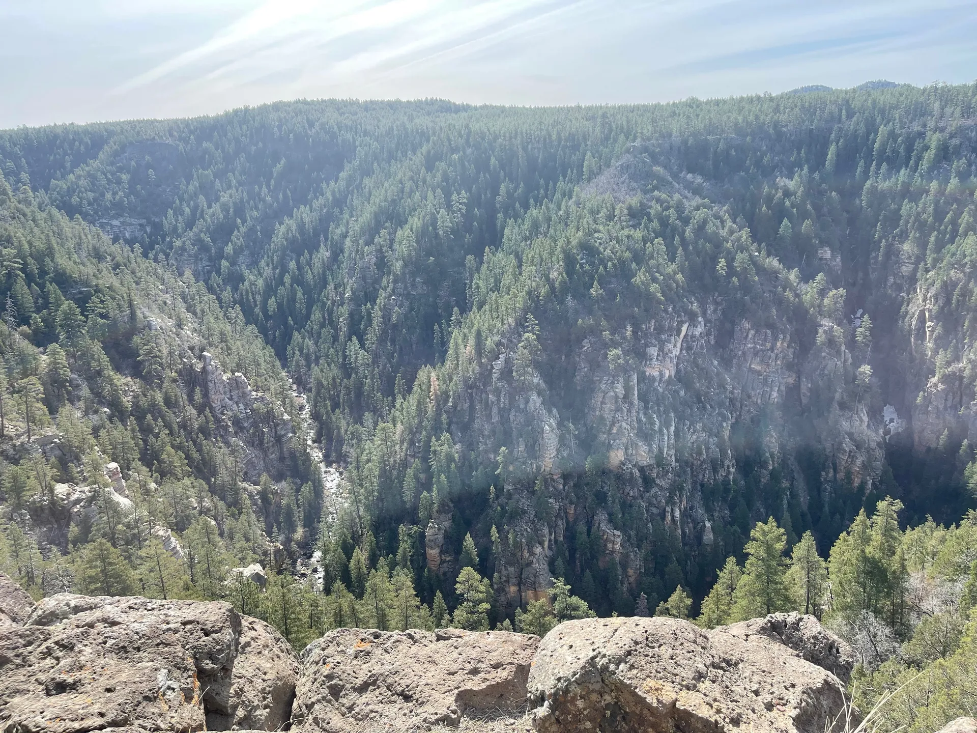 🍀Clover🍀 OnlyFans header