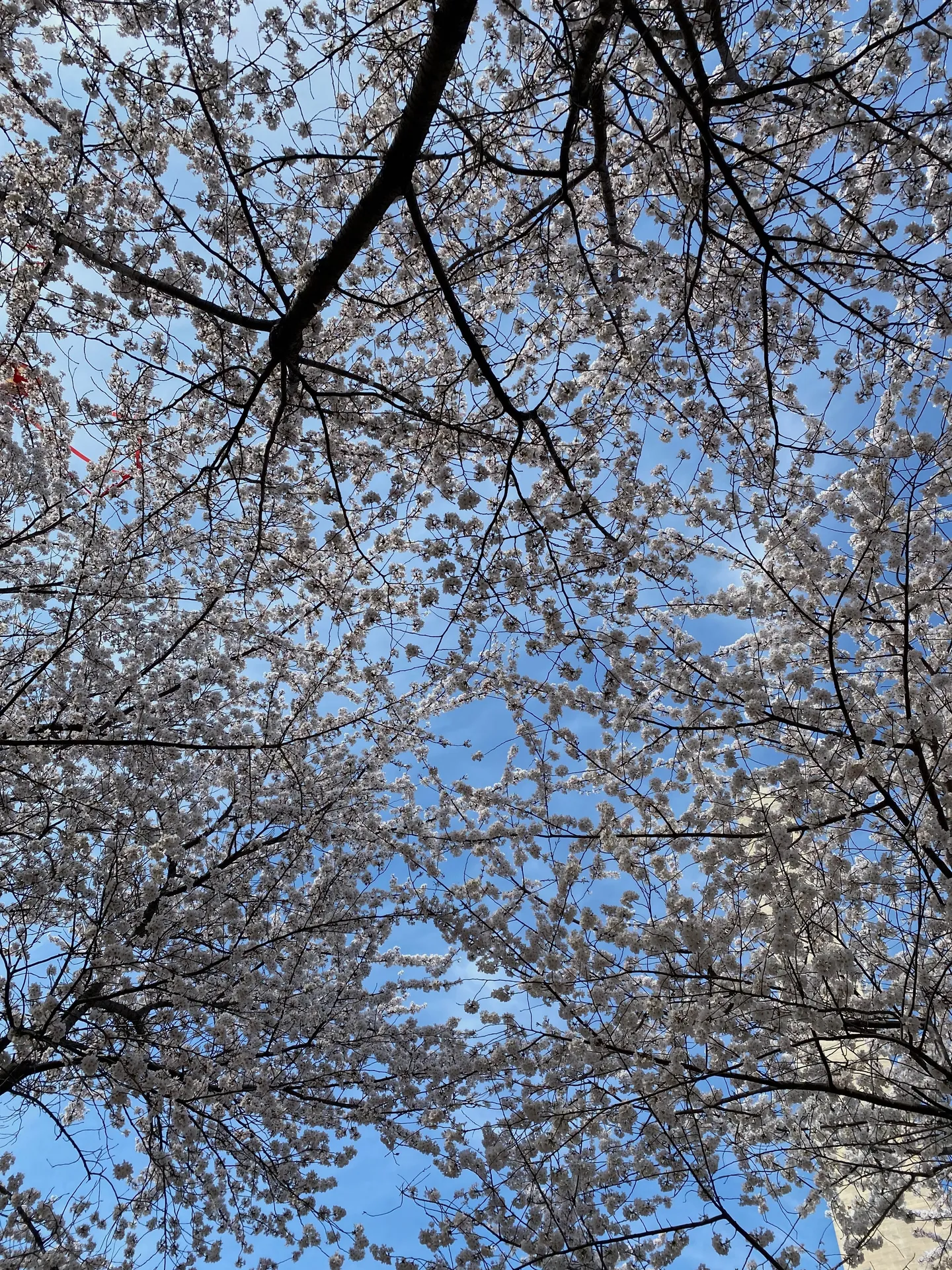 jax &amp; kay OnlyFans header