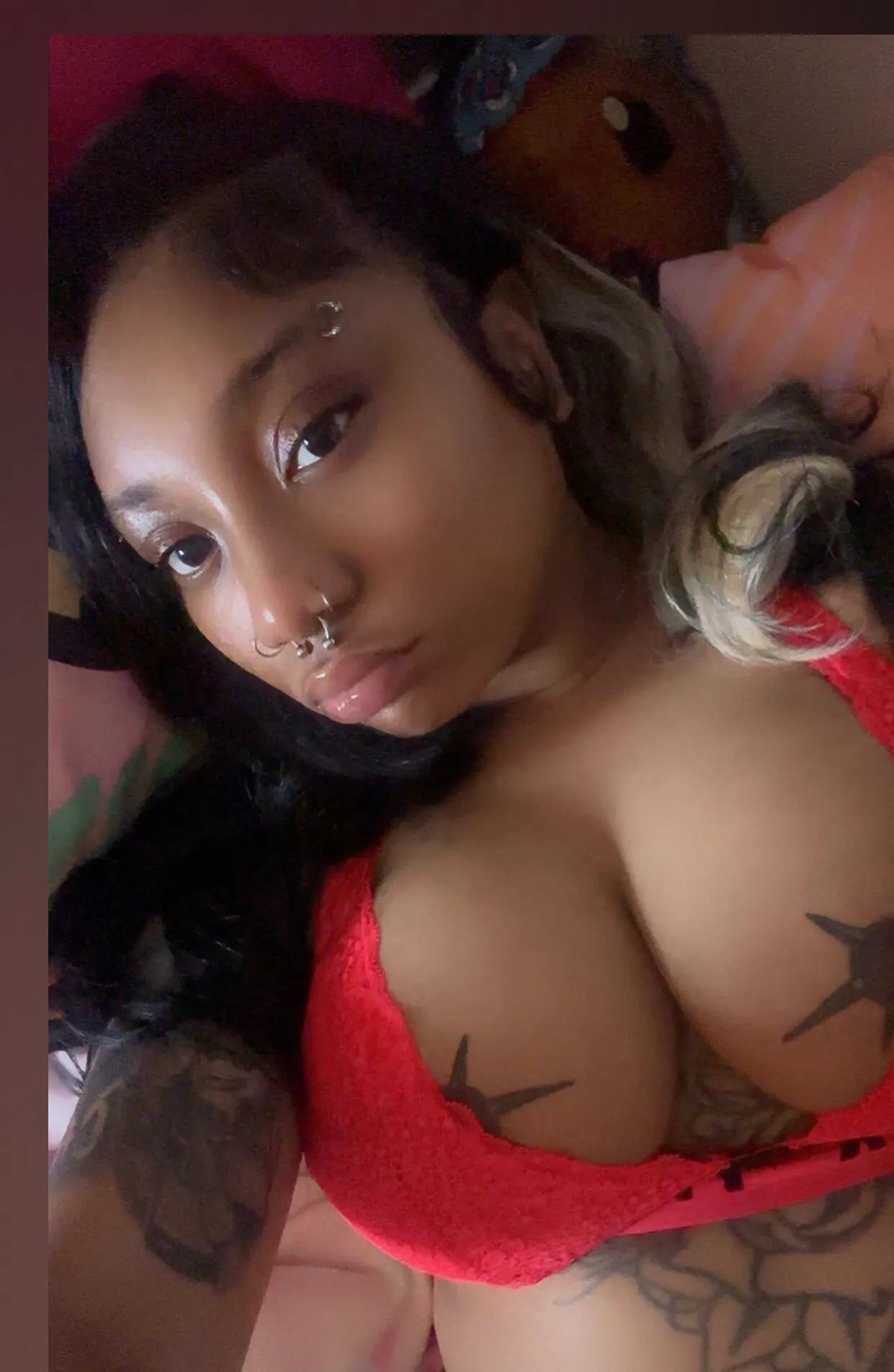 Fenyx Fox ❤️‍🔥