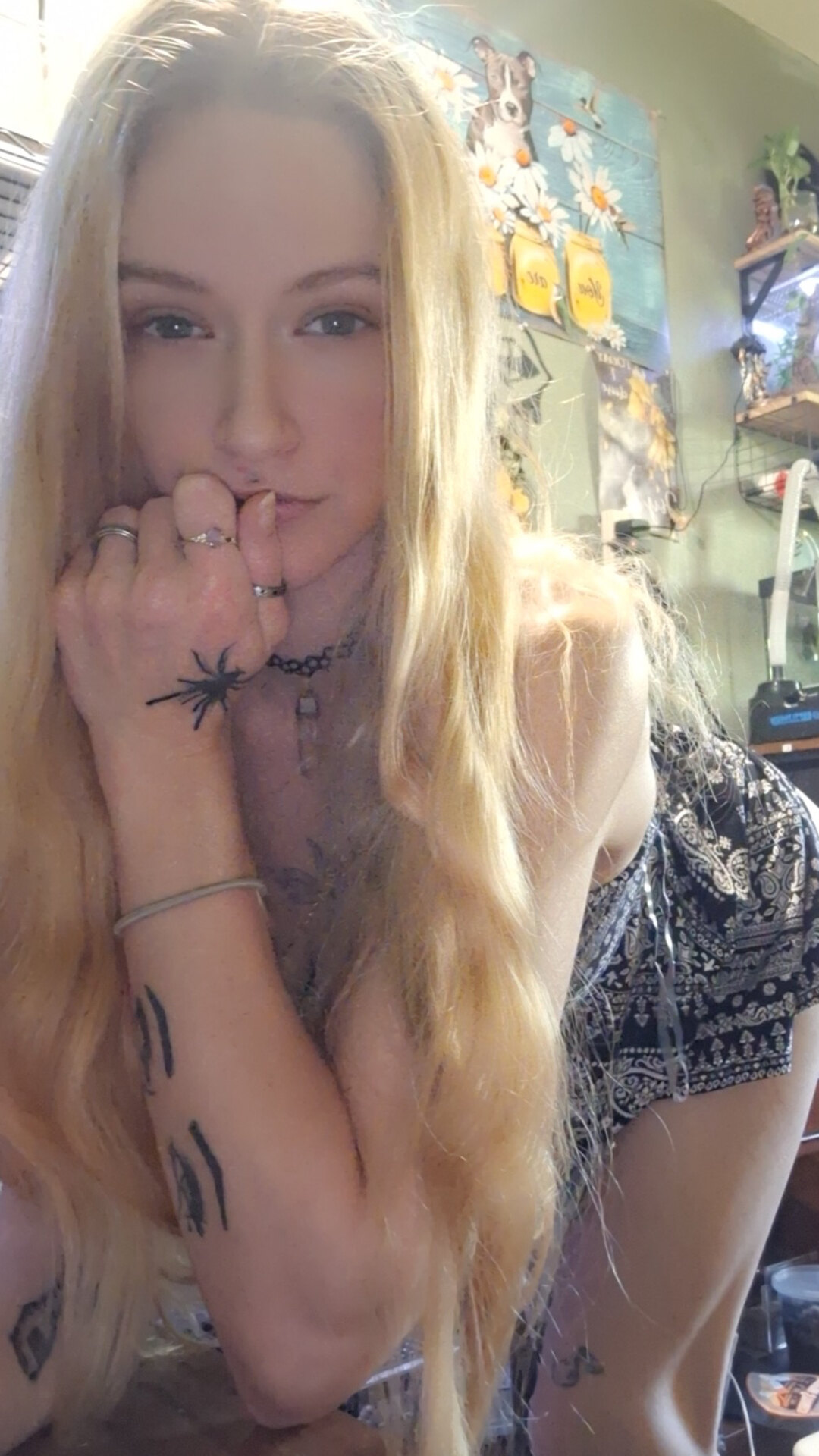 SFW Queen of webs 🕸️ OnlyFans