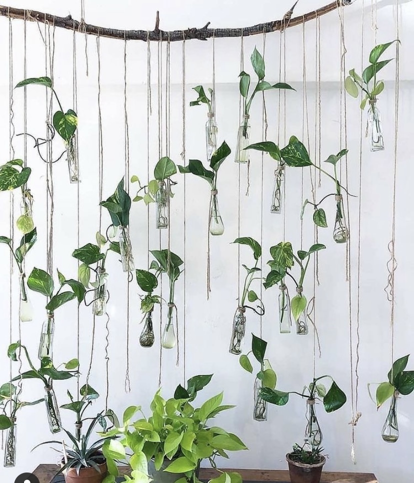 Quinn Reaper ⛏ OnlyFans header