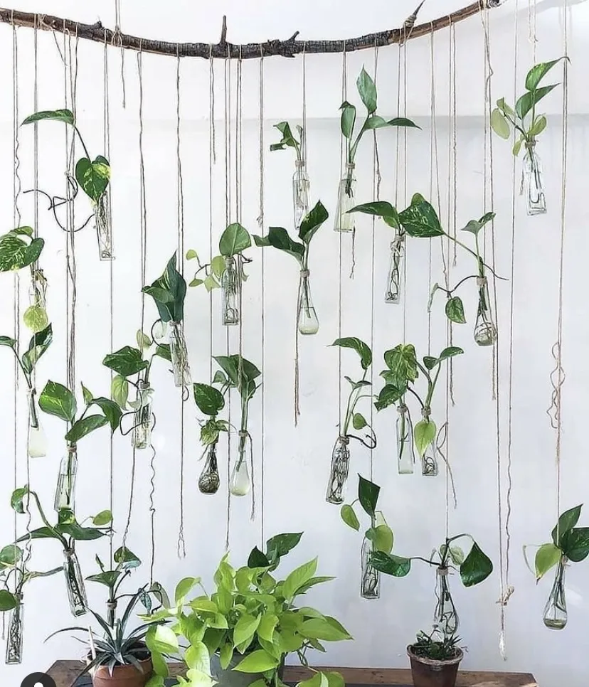 Quinn Reaper ⛏ OnlyFans header