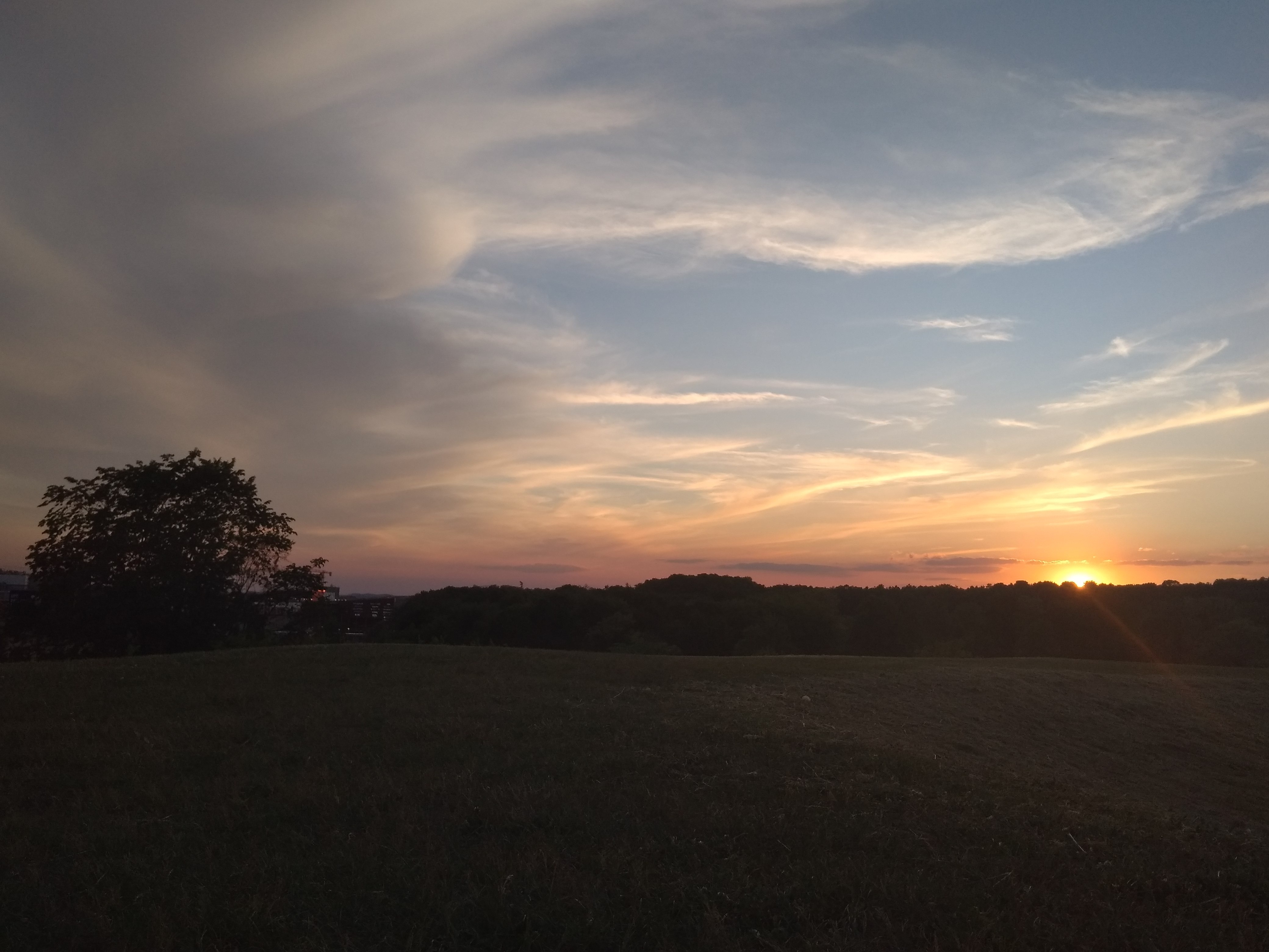 Effie 🕸 OnlyFans header