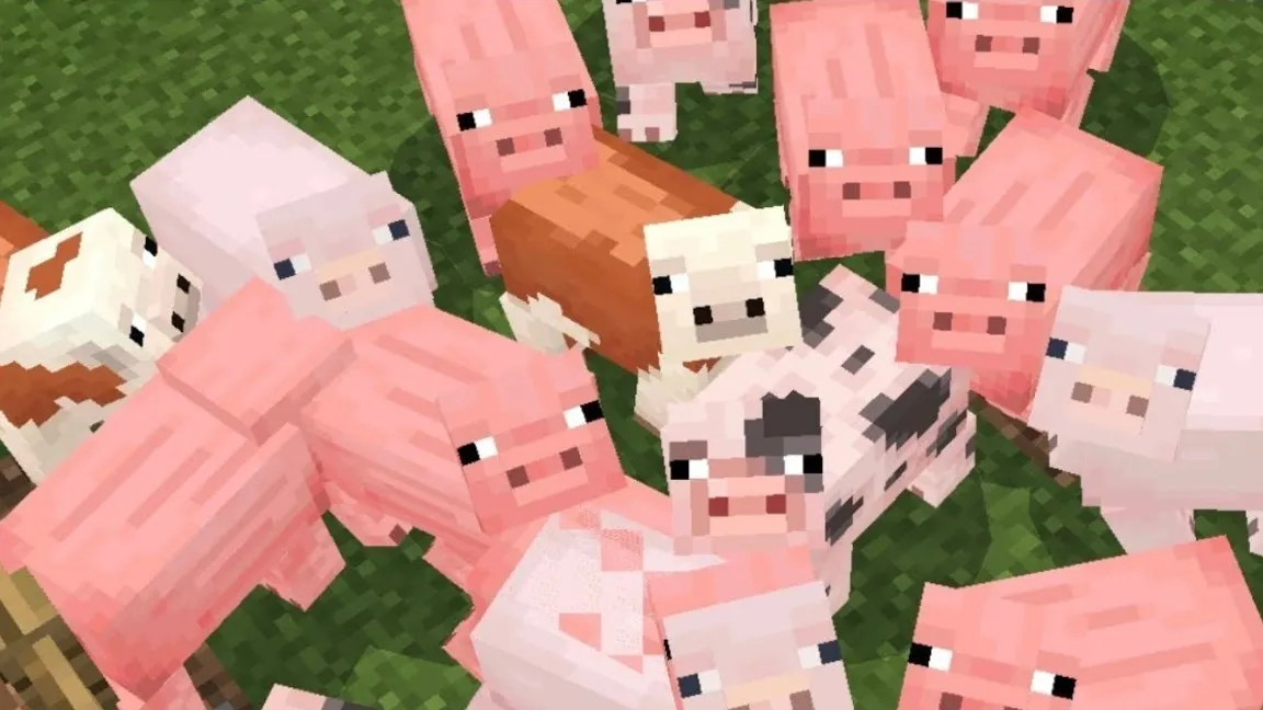 Randa Rice 🍚 OnlyFans header