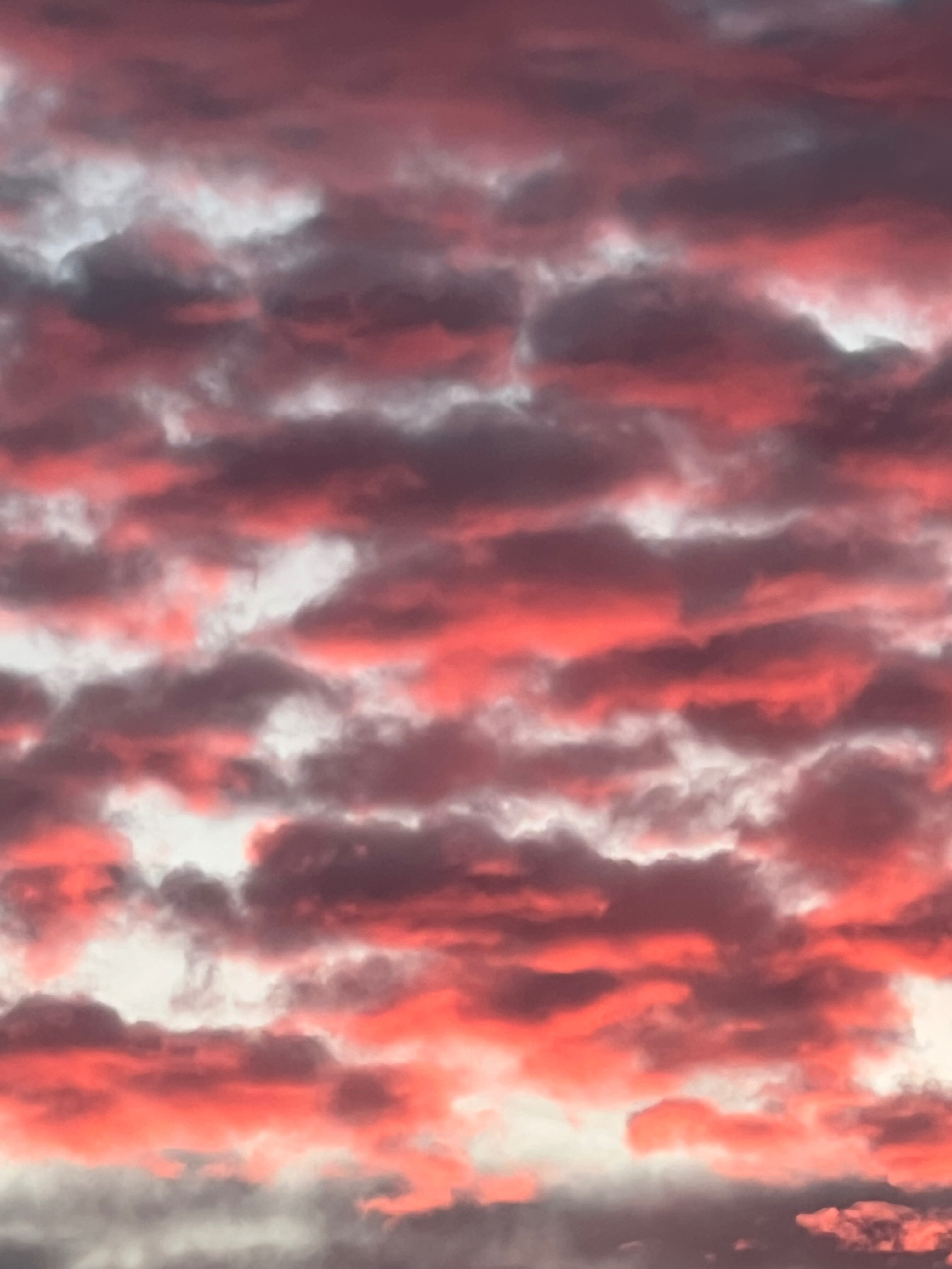 Alex OnlyFans header