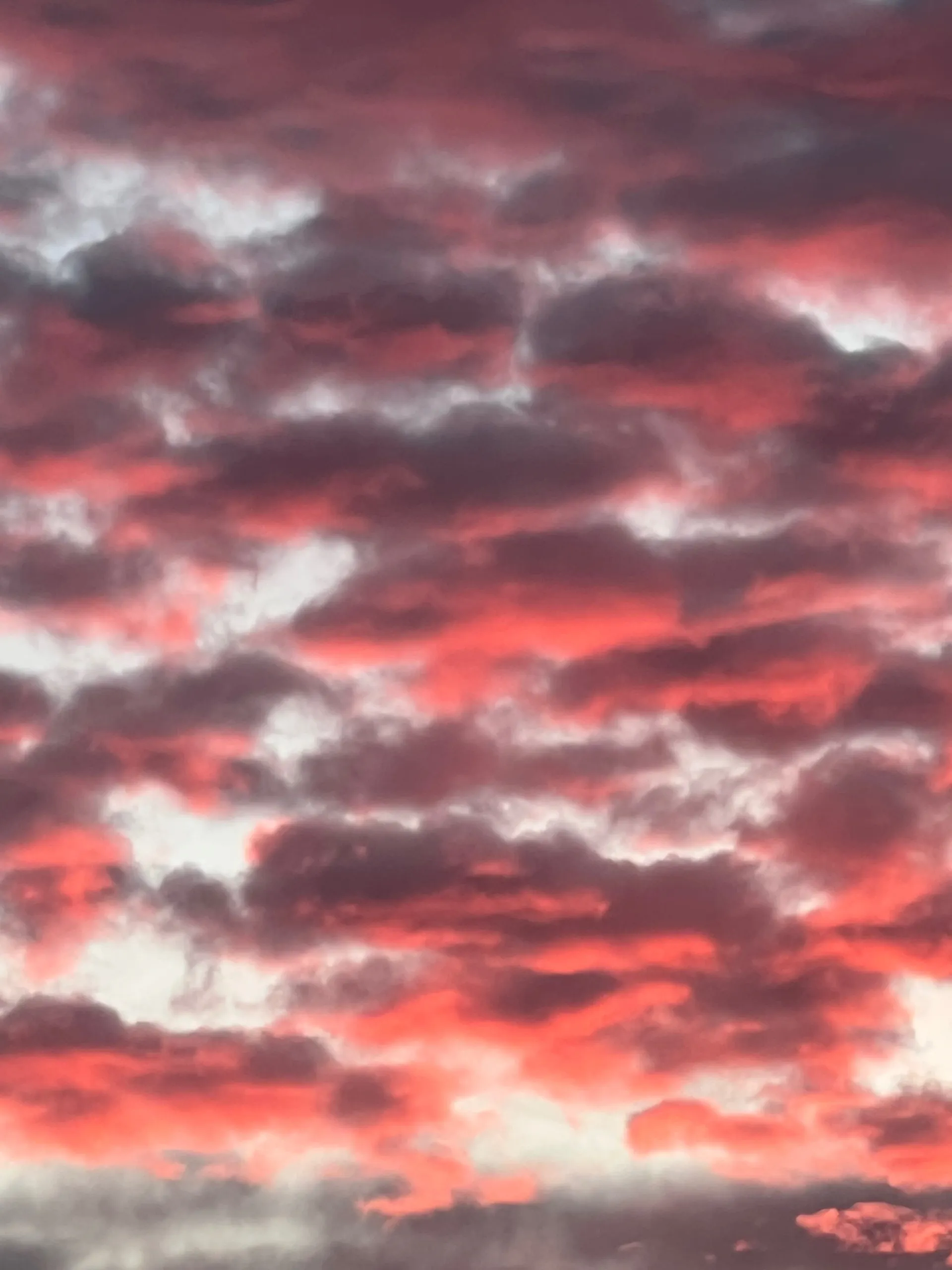 Alex OnlyFans header