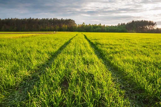 Cutie Pie OnlyFans header