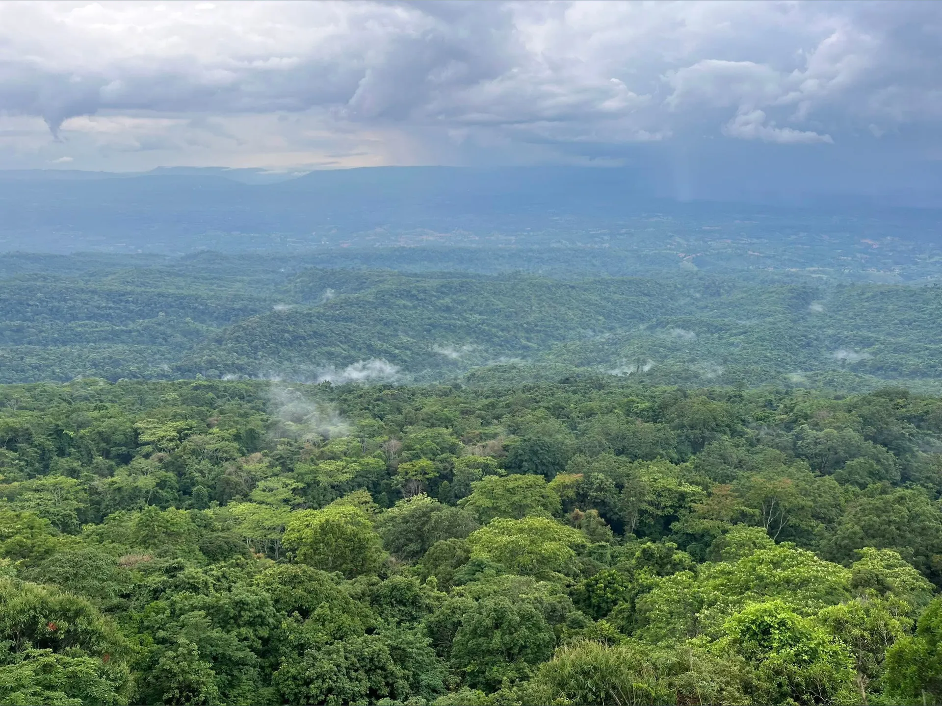 RealMan_TheBoss👑 OnlyFans header