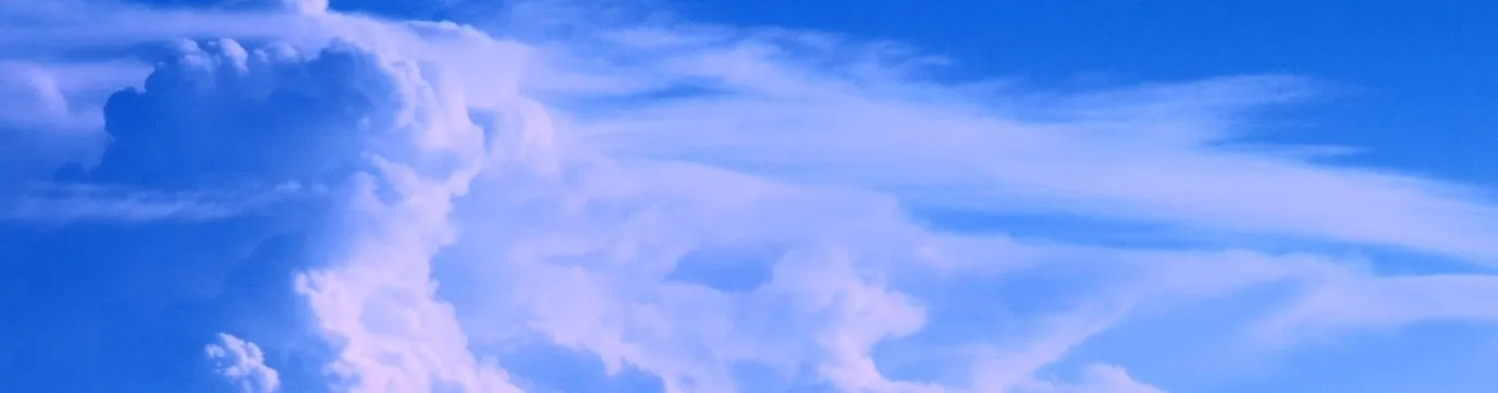 Rebel OnlyFans header